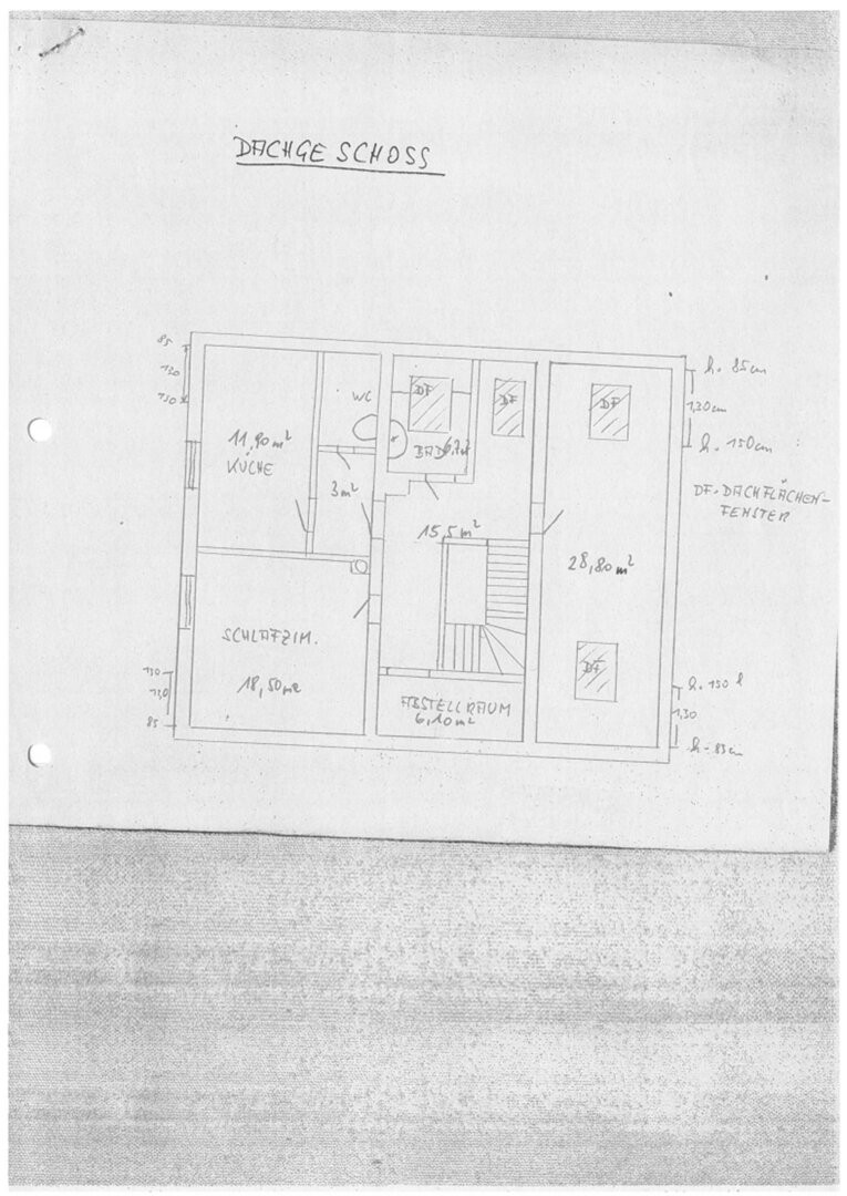 Plan DG