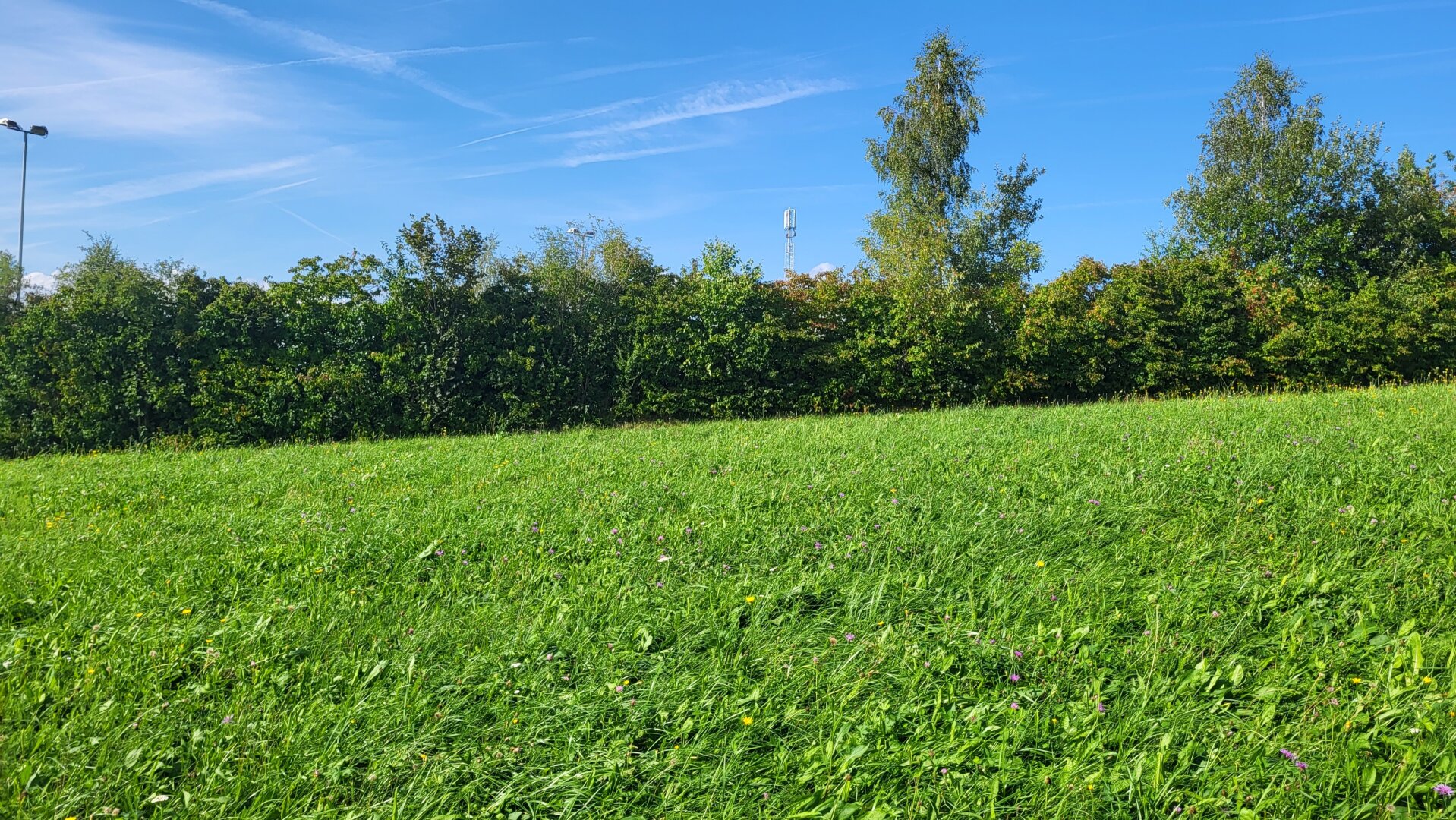 Genieße Abende bei Kerzenschein im Garten Baugrund in Aussichtslage