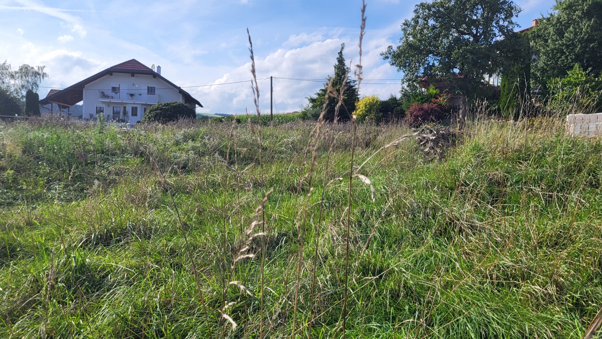 Exklusives Baugrundstück in ruhiger Lage – Jetzt zuschlagen und flexibel bauen!