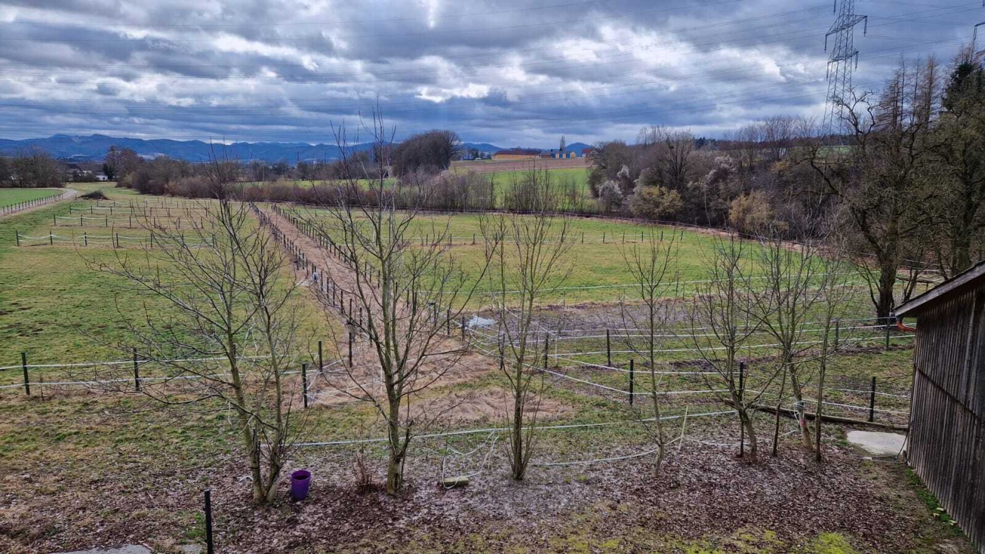 Bauernhof, Reitanlage  Wohnungen und Koppeln,  5,5 ha Gesamtfläche