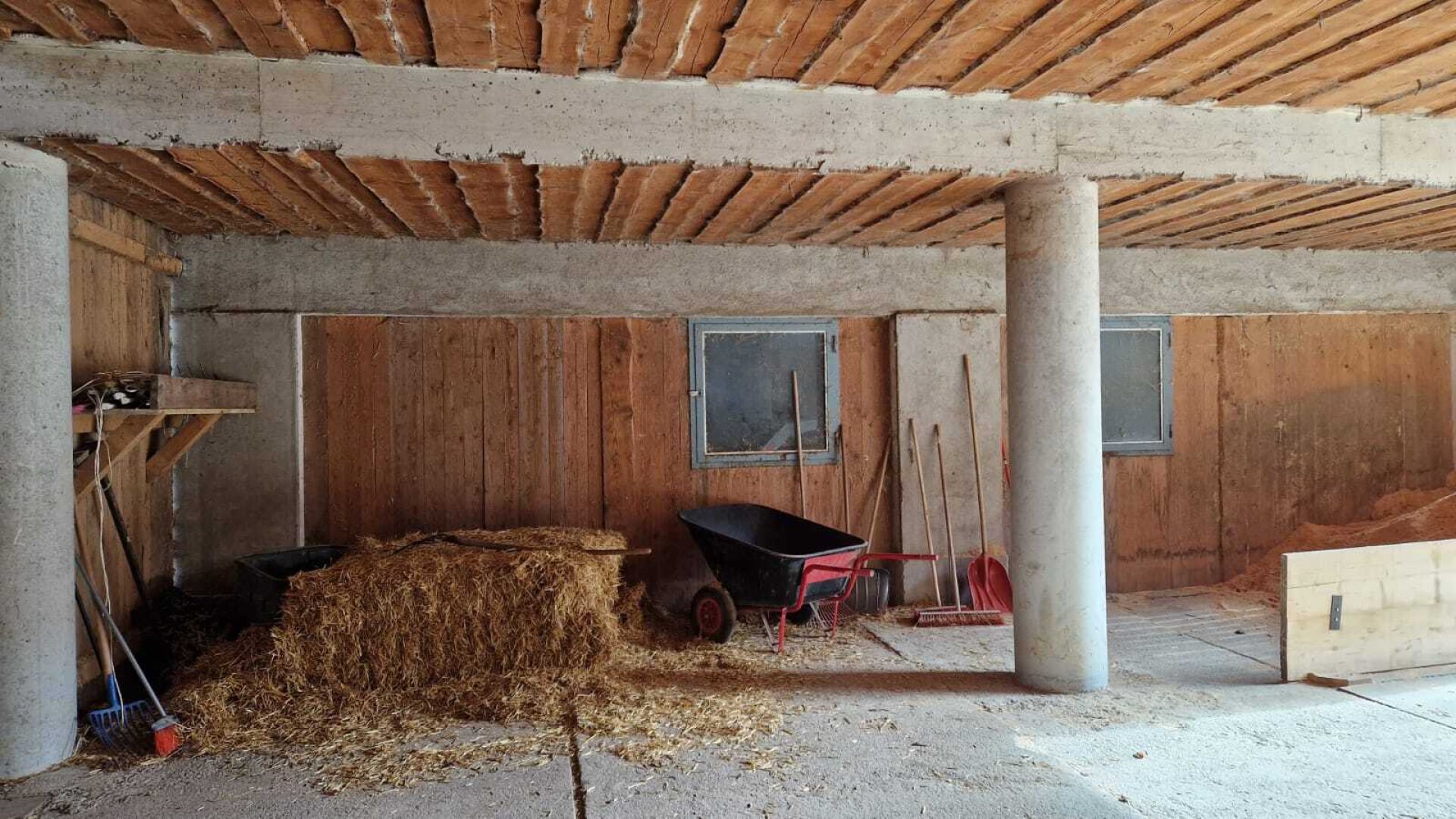 Bauernhof, Reitanlage  Wohnungen und Koppeln,  5,5 ha Gesamtfläche