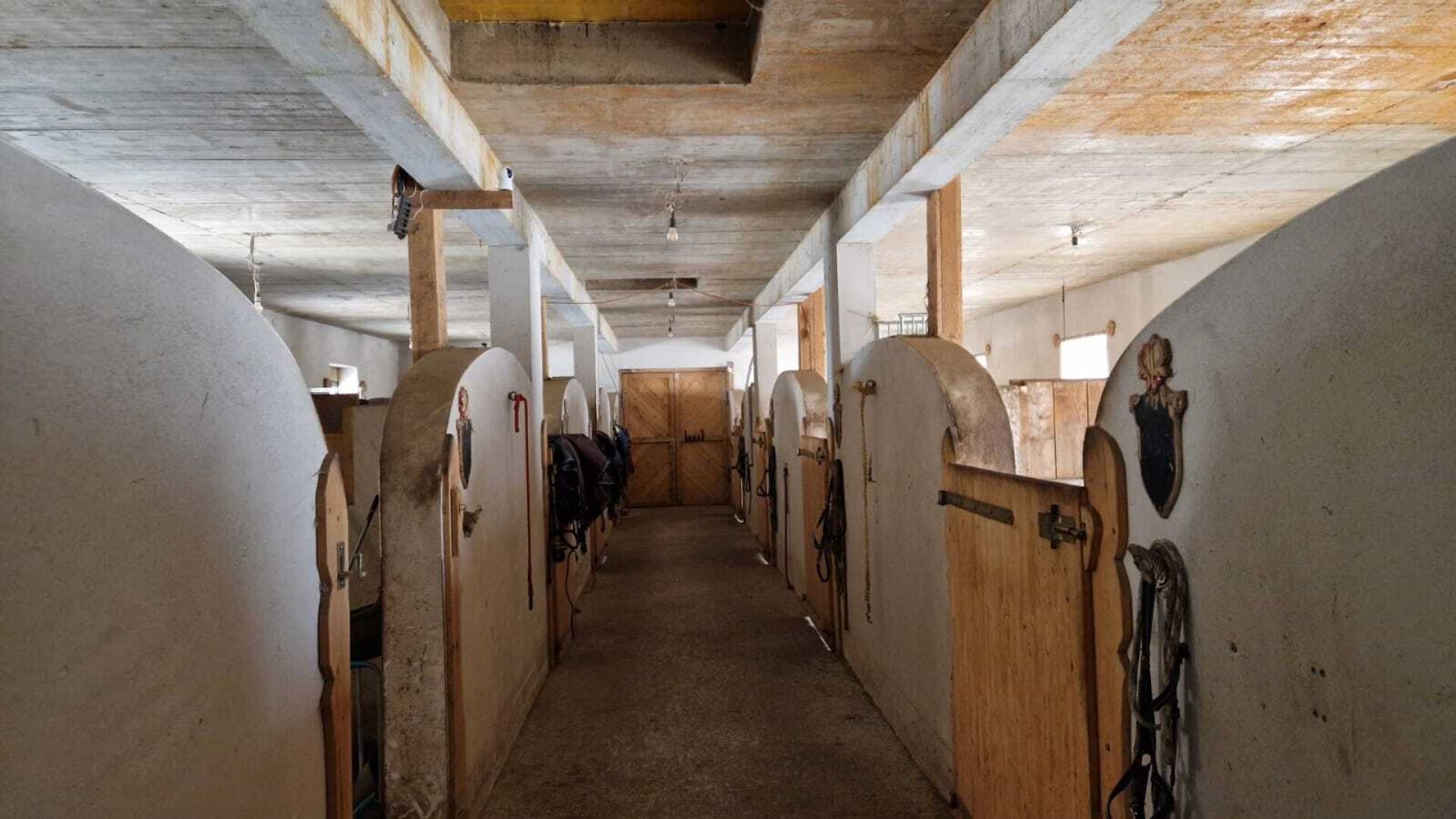 Bauernhof, Reitanlage  Wohnungen und Koppeln,  5,5 ha Gesamtfläche