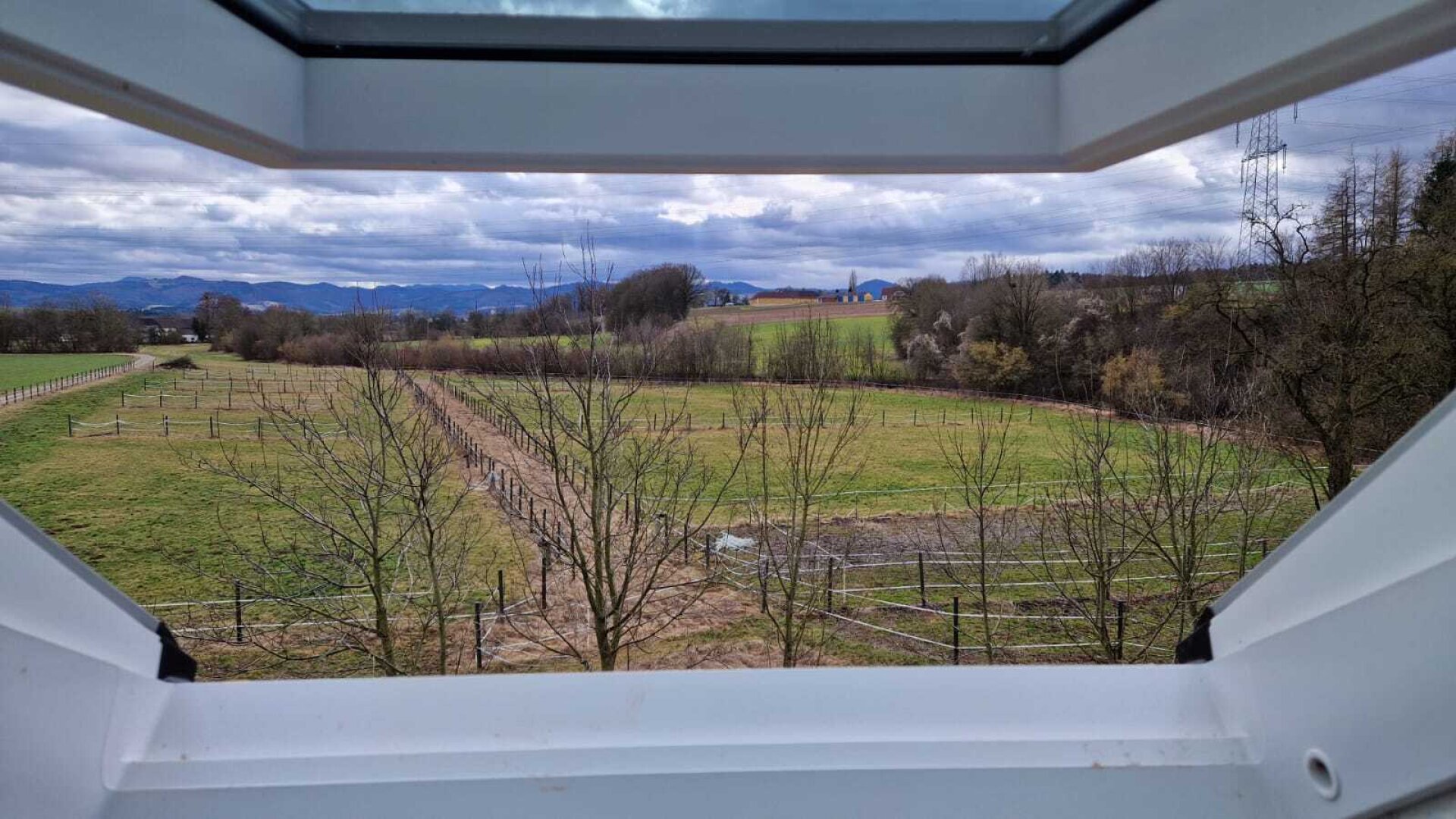 Bauernhof, Reitanlage  Wohnungen und Koppeln,  5,5 ha Gesamtfläche