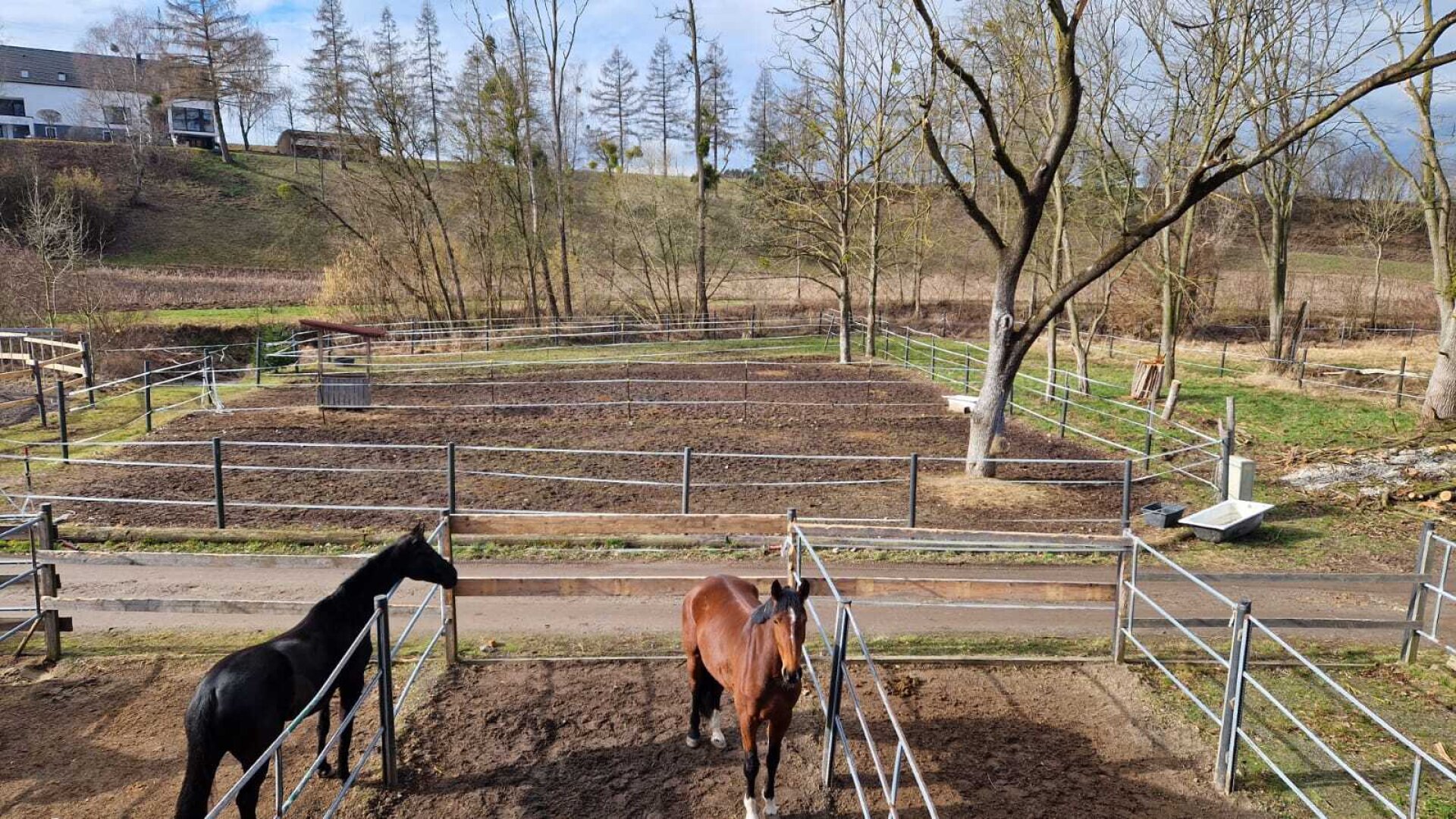 Bauernhof, Reitanlage  Wohnungen und Koppeln,  5,5 ha Gesamtfläche