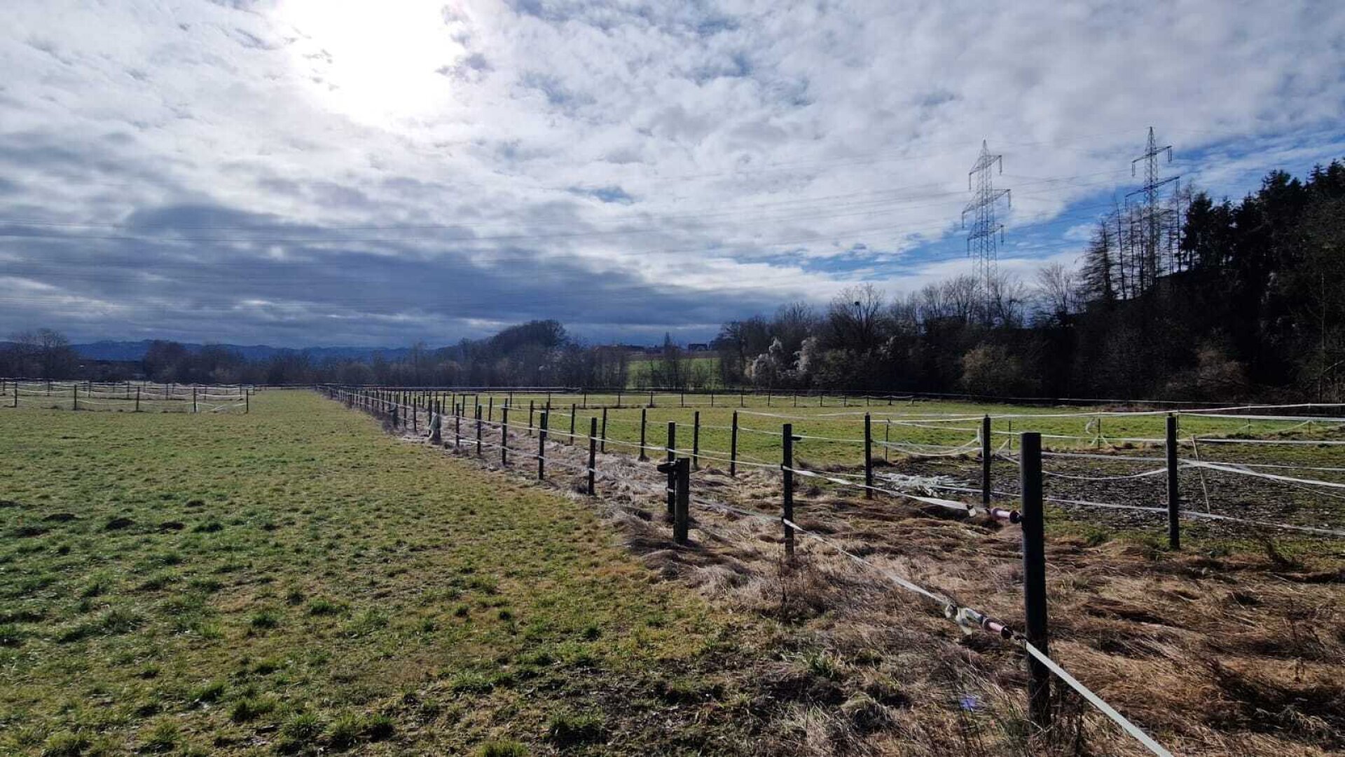Bauernhof, Reitanlage  Wohnungen und Koppeln,  5,5 ha Gesamtfläche