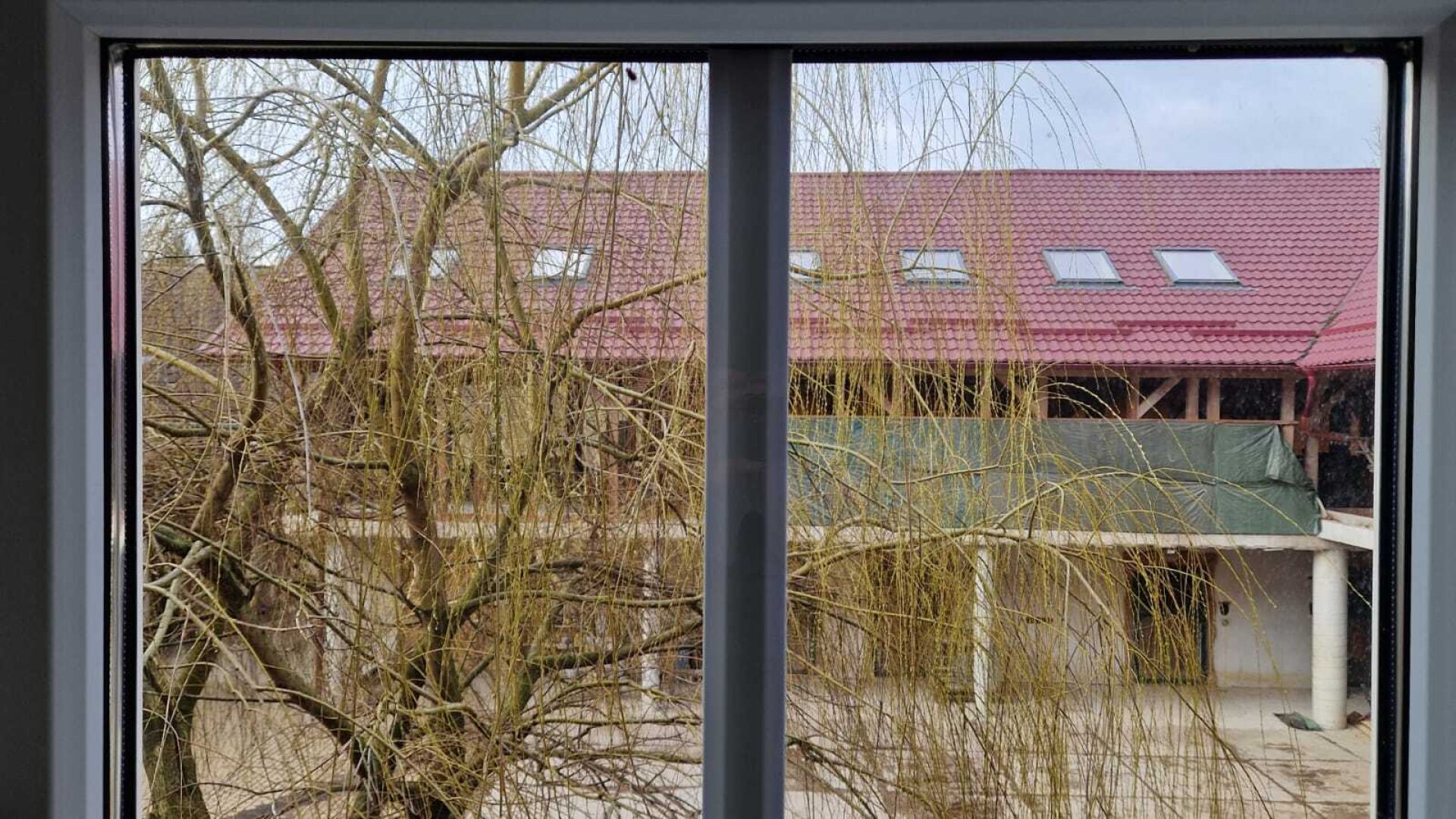 Bauernhof, Reitanlage  Wohnungen und Koppeln,  5,5 ha Gesamtfläche