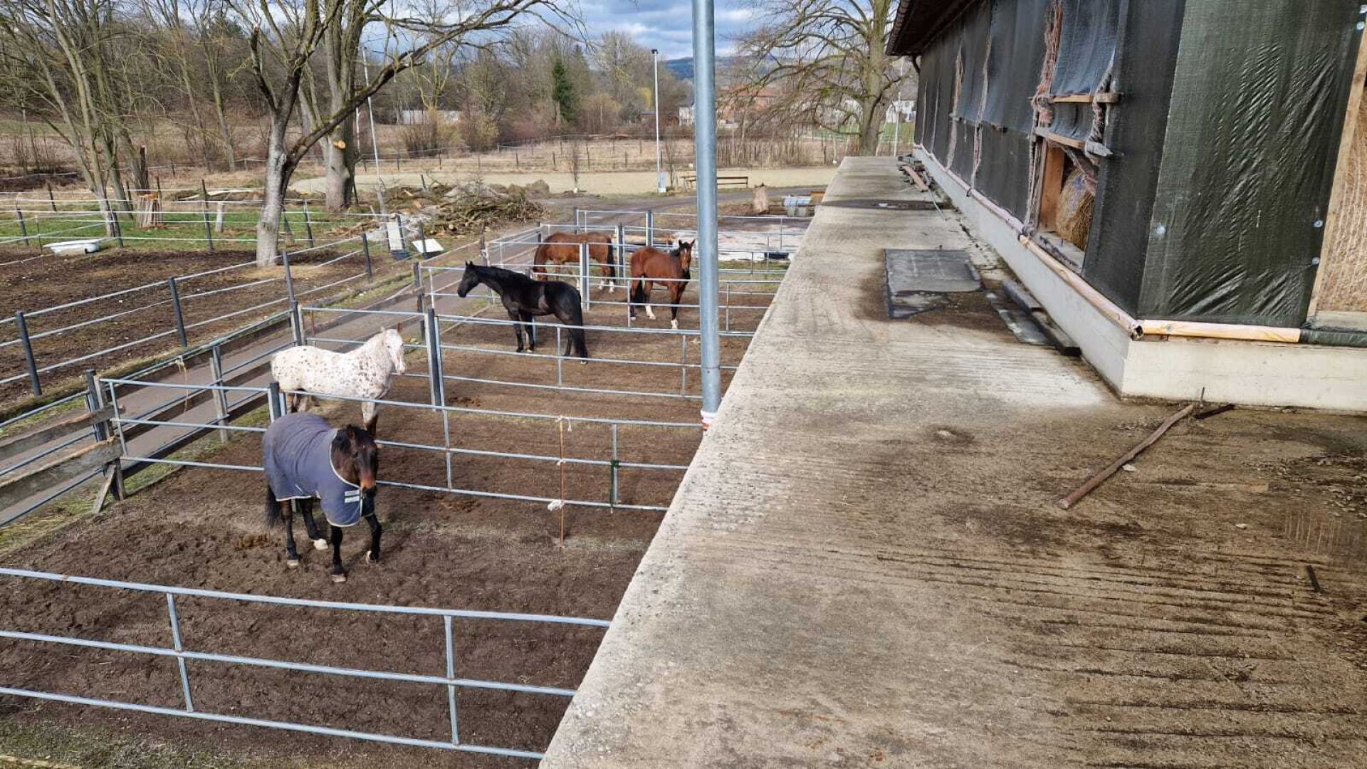 Bauernhof, Reitanlage  Wohnungen und Koppeln,  5,5 ha Gesamtfläche