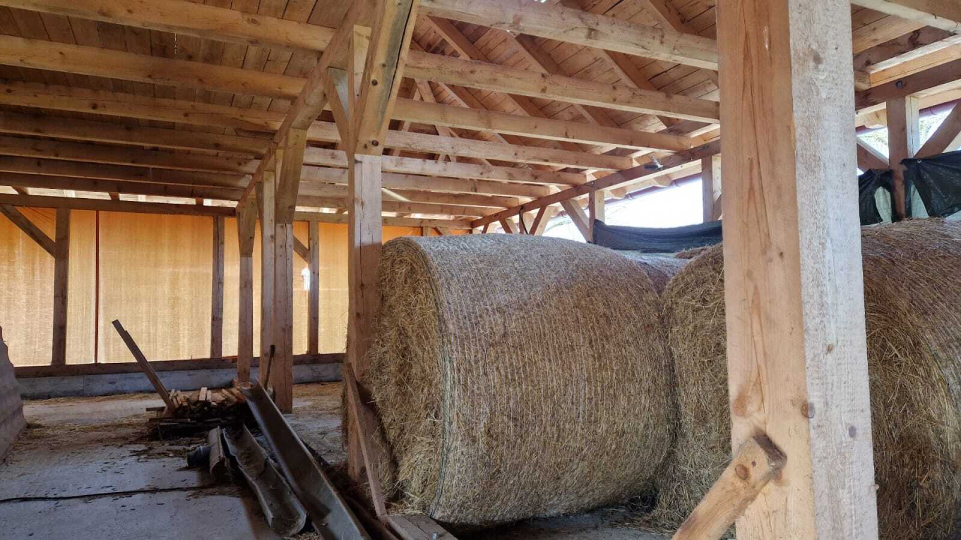 Bauernhof, Reitanlage  Wohnungen und Koppeln,  5,5 ha Gesamtfläche