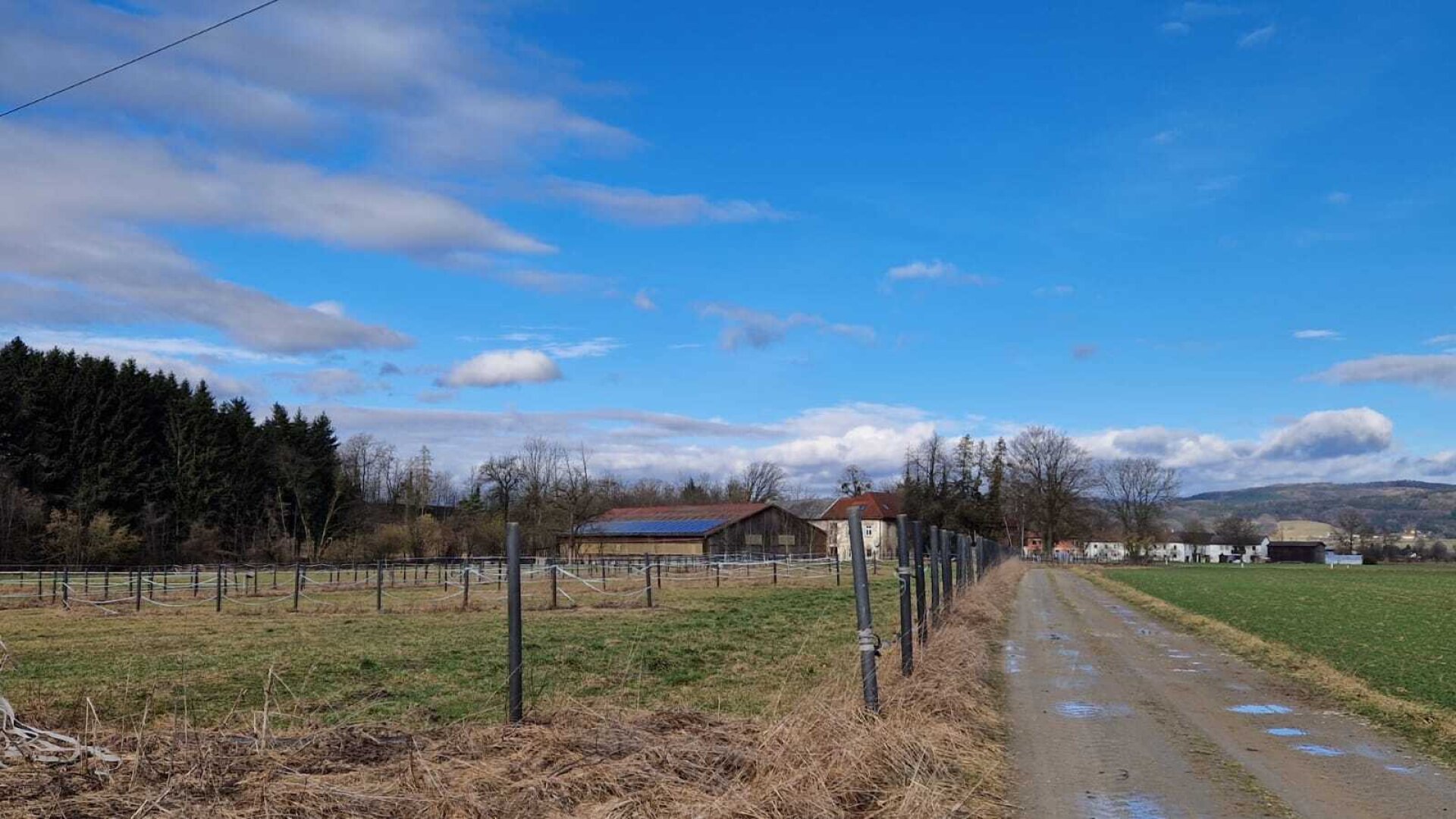 Bauernhof, Reitanlage  Wohnungen und Koppeln,  5,5 ha Gesamtfläche