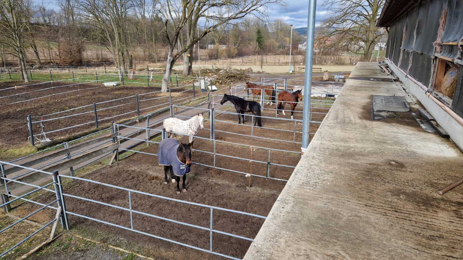 Bauernhof, Reitanlage  Wohnungen und Koppeln,  5,5 ha Gesamtfläche