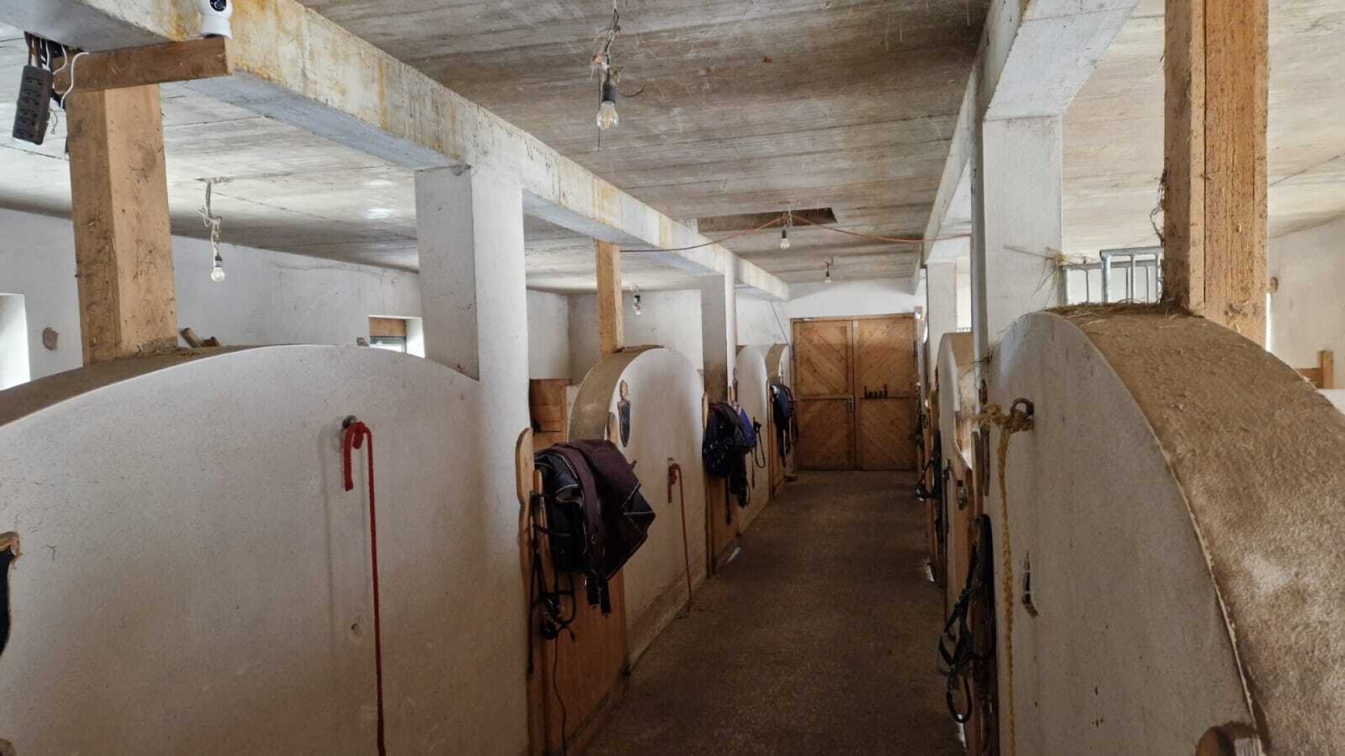 Bauernhof, Reitanlage  Wohnungen und Koppeln,  5,5 ha Gesamtfläche