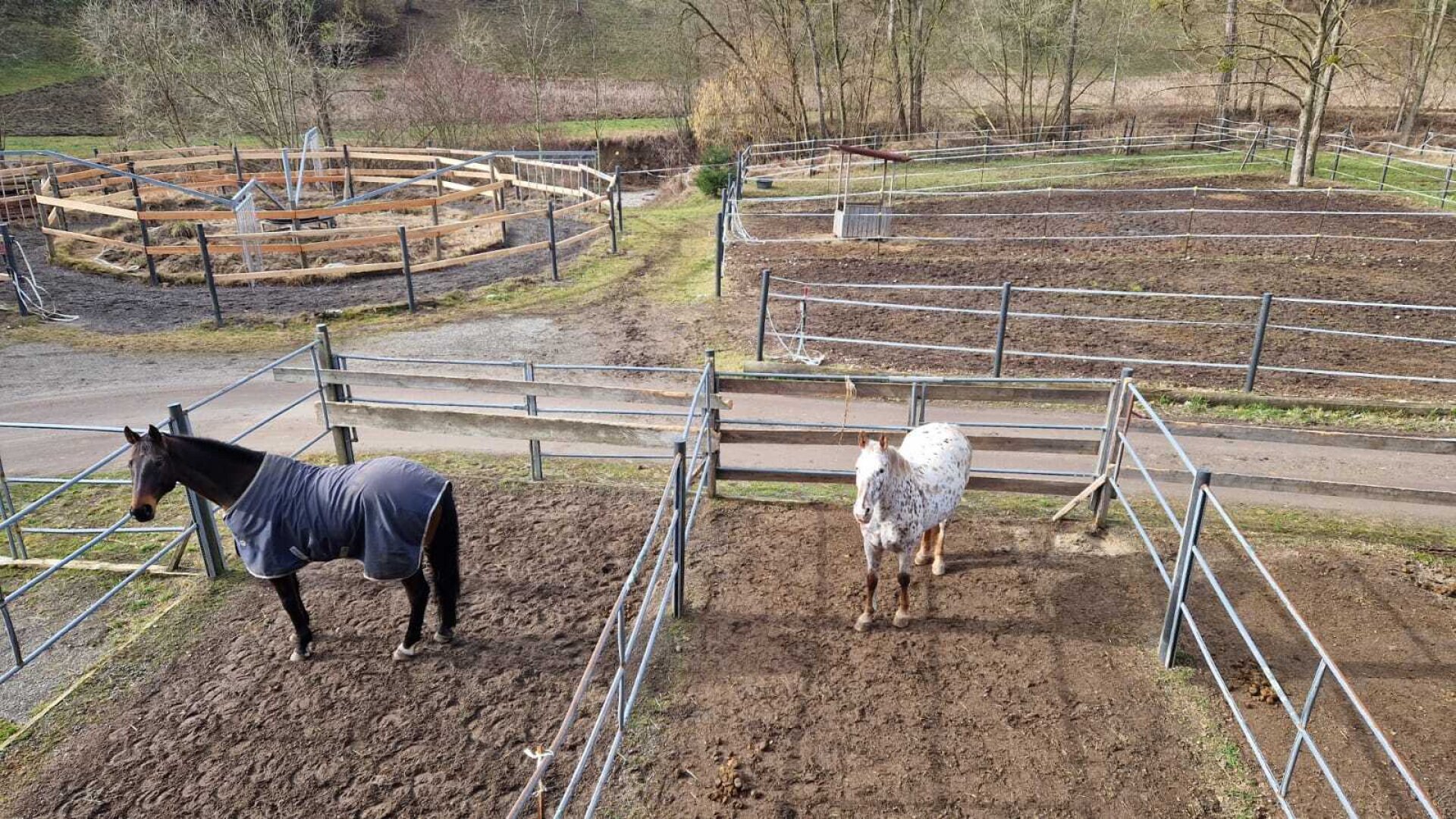 Bauernhof, Reitanlage  Wohnungen und Koppeln,  5,5 ha Gesamtfläche