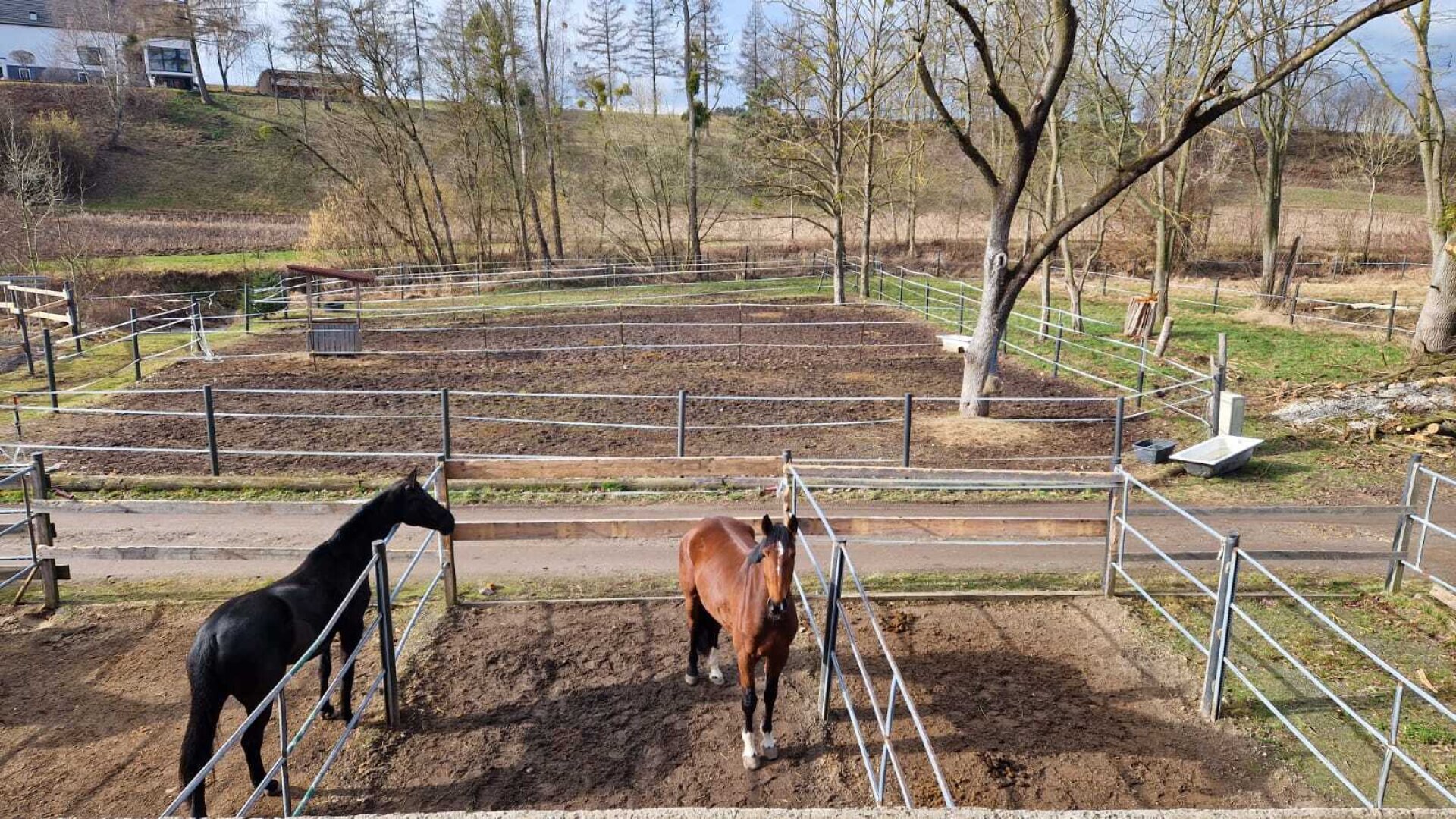Bauernhof, Reitanlage  Wohnungen und Koppeln,  5,5 ha Gesamtfläche