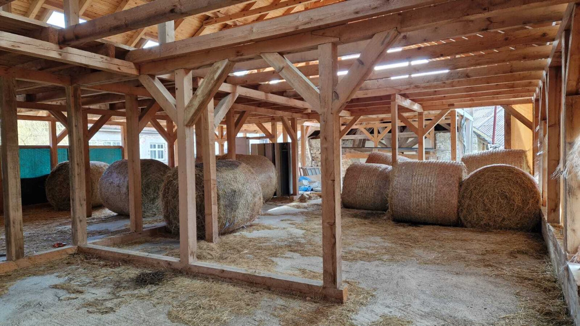 Bauernhof, Reitanlage  Wohnungen und Koppeln,  5,5 ha Gesamtfläche