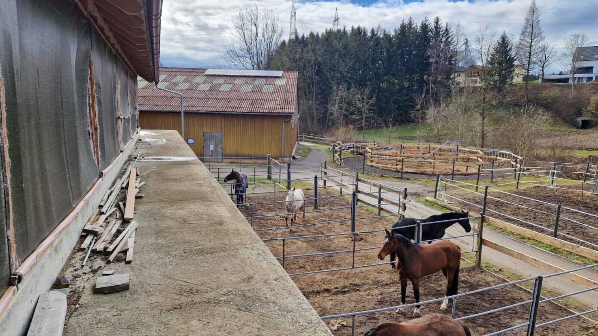 Bauernhof, Reitanlage  Wohnungen und Koppeln,  5,5 ha Gesamtfläche