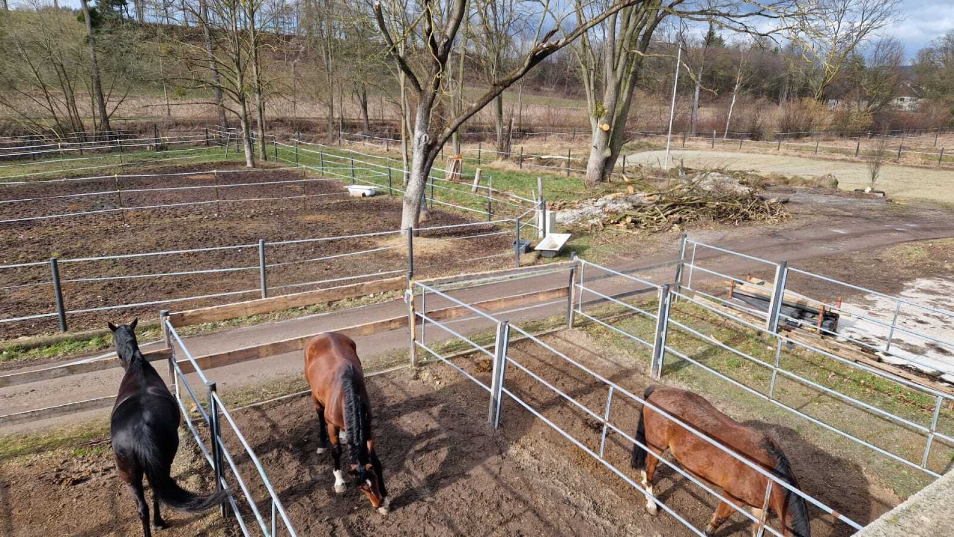 Bauernhof, Reitanlage  Wohnungen und Koppeln,  5,5 ha Gesamtfläche