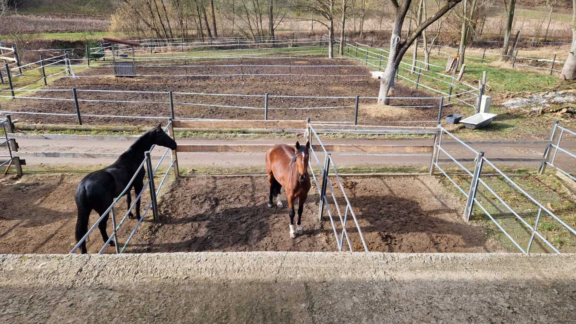 Bauernhof, Reitanlage  Wohnungen und Koppeln,  5,5 ha Gesamtfläche