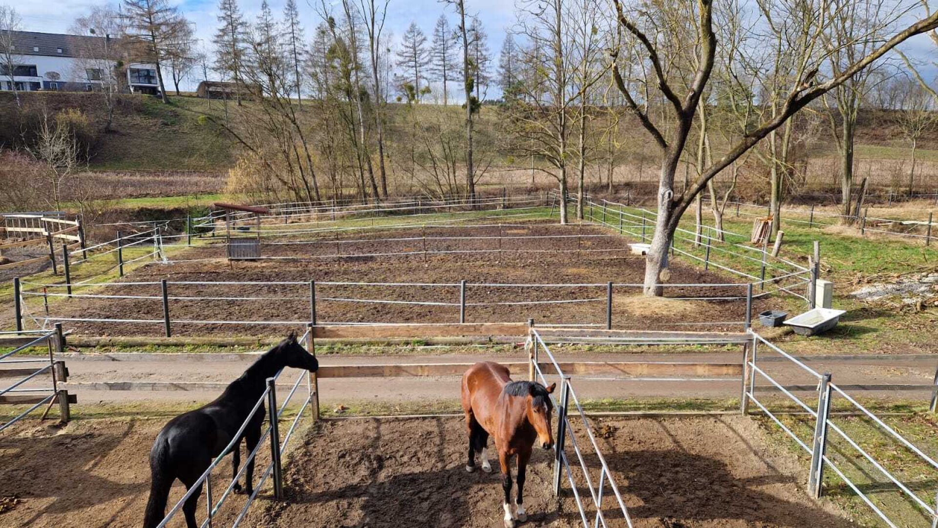 Bauernhof, Reitanlage  Wohnungen und Koppeln,  5,5 ha Gesamtfläche