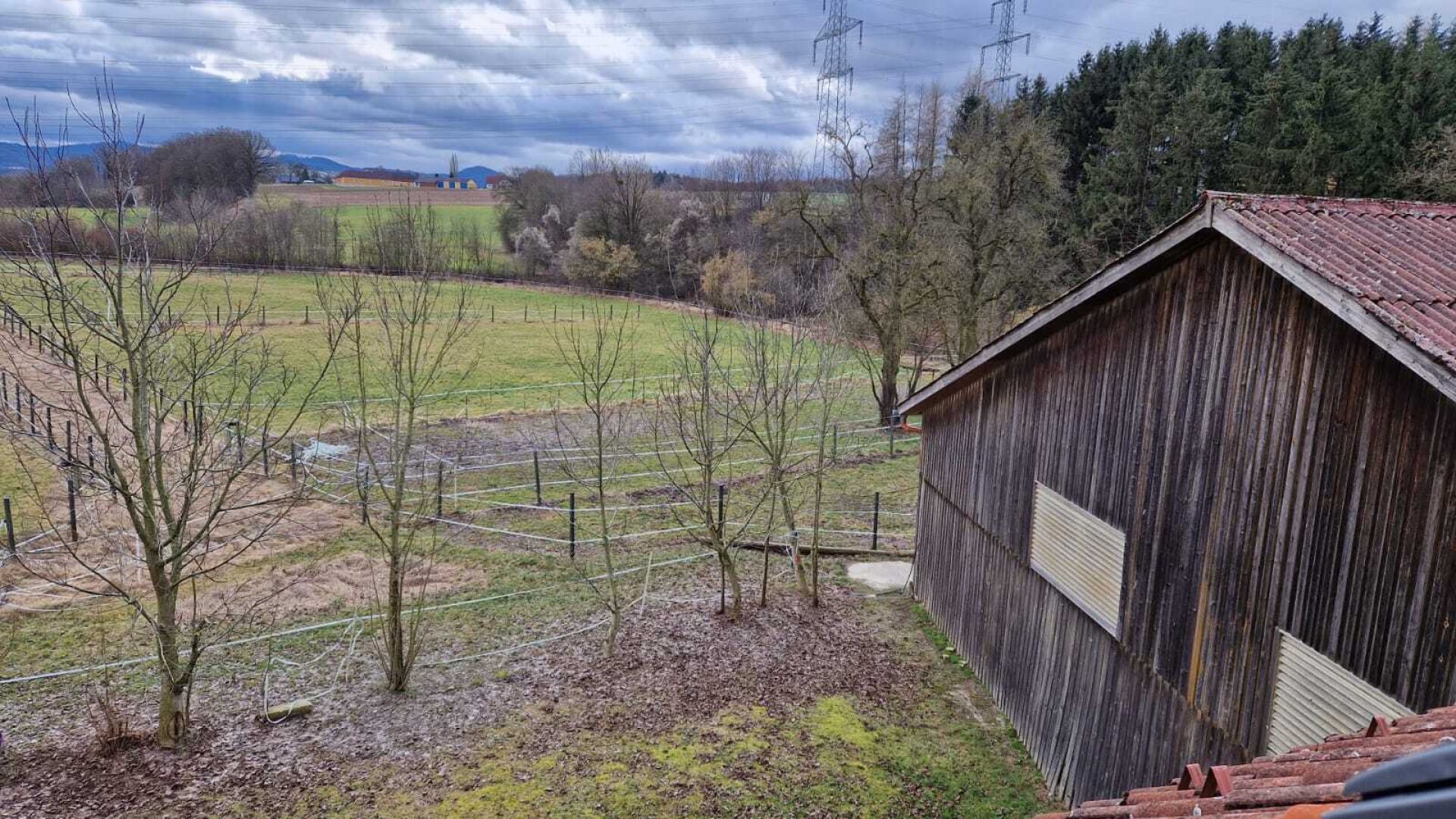 Bauernhof, Reitanlage  Wohnungen und Koppeln,  5,5 ha Gesamtfläche