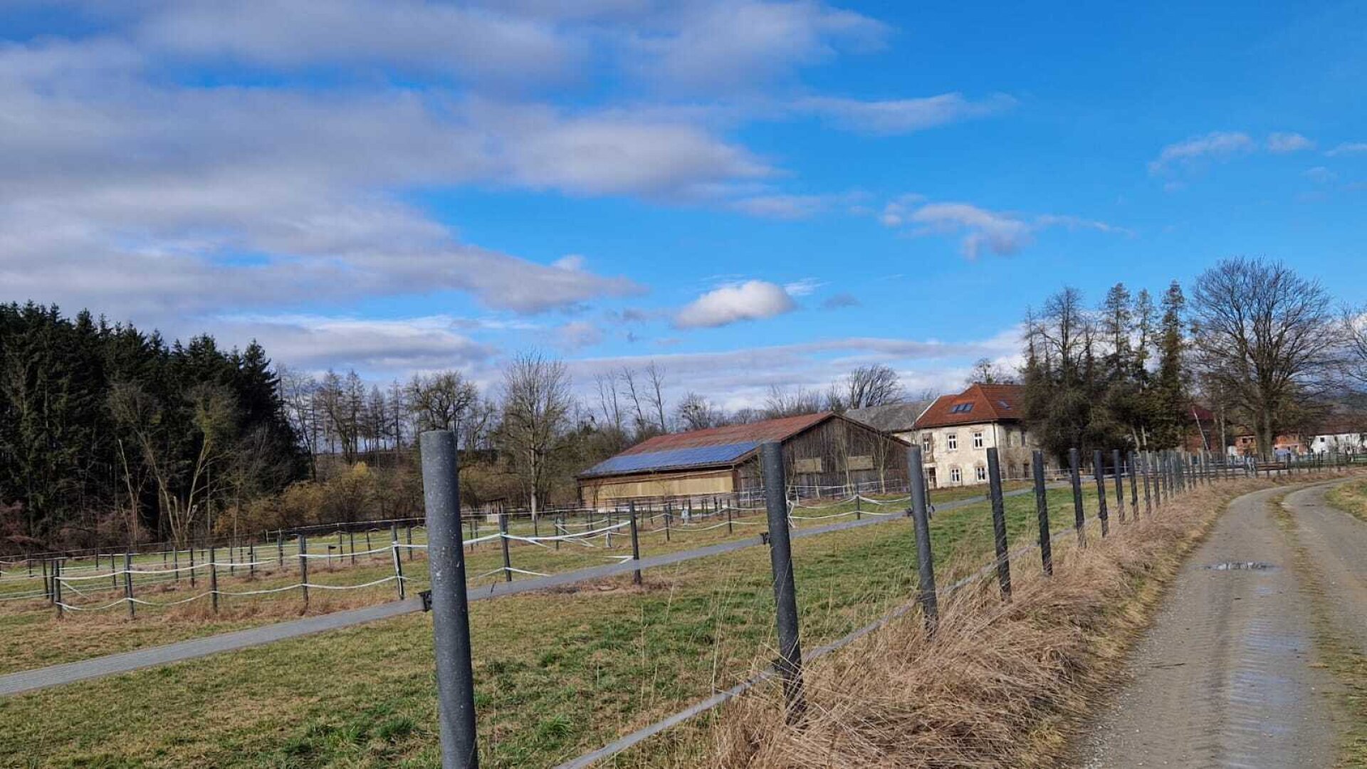 Bauernhof, Reitanlage  Wohnungen und Koppeln,  5,5 ha Gesamtfläche