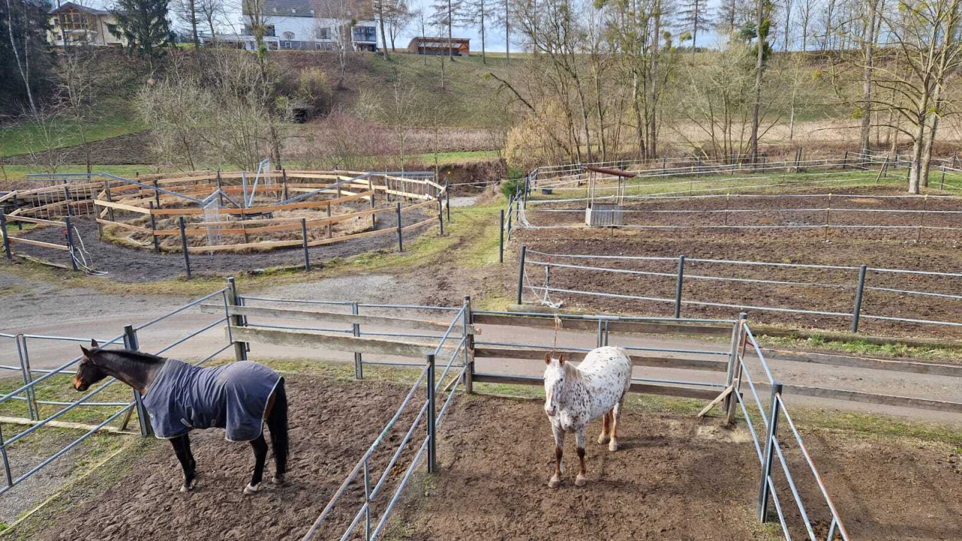 Bauernhof, Reitanlage  Wohnungen und Koppeln,  5,5 ha Gesamtfläche
