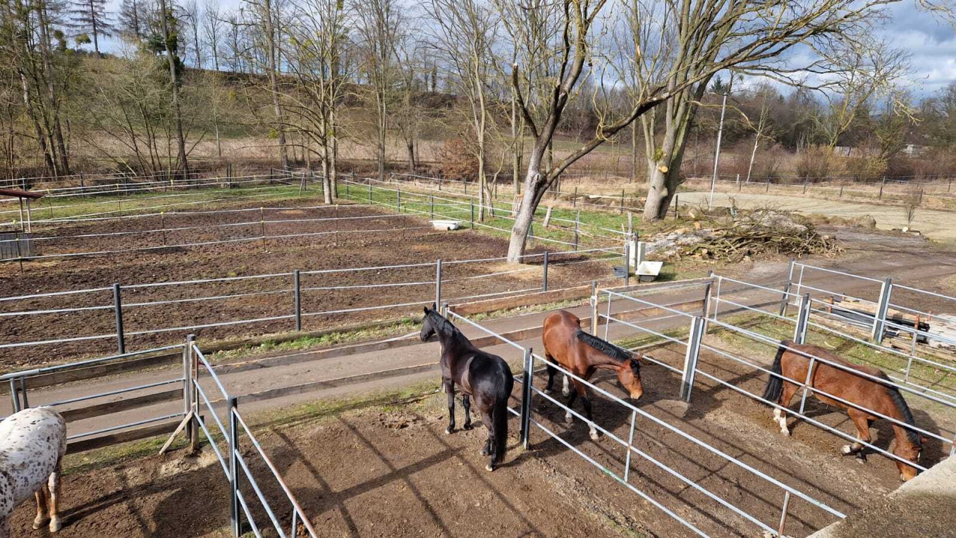Bauernhof, Reitanlage  Wohnungen und Koppeln,  5,5 ha Gesamtfläche