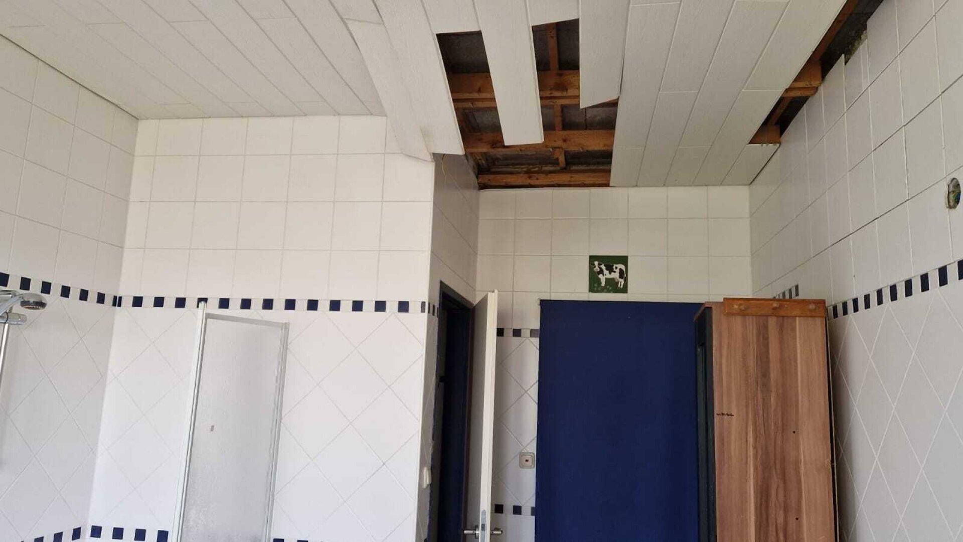 Bauernhof, Reitanlage  Wohnungen und Koppeln,  5,5 ha Gesamtfläche