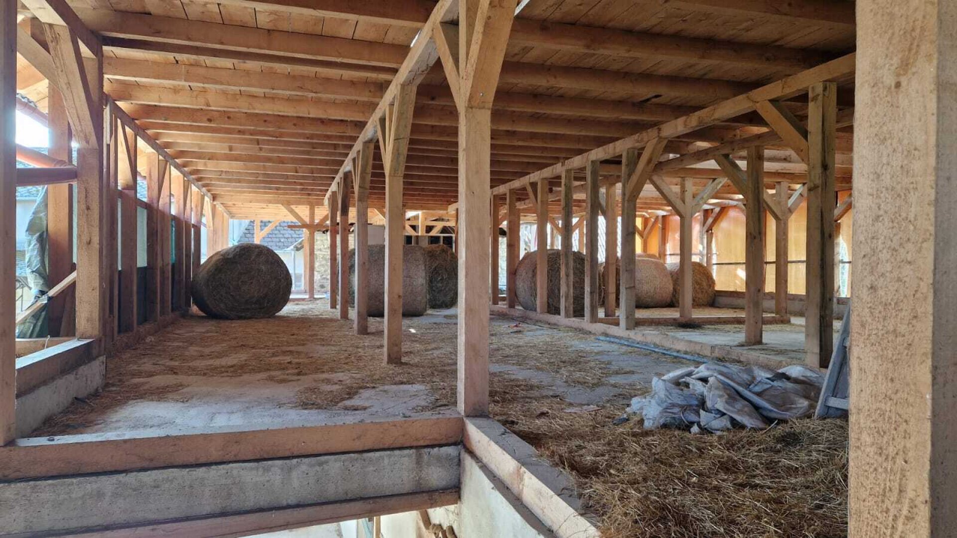 Bauernhof, Reitanlage  Wohnungen und Koppeln,  5,5 ha Gesamtfläche