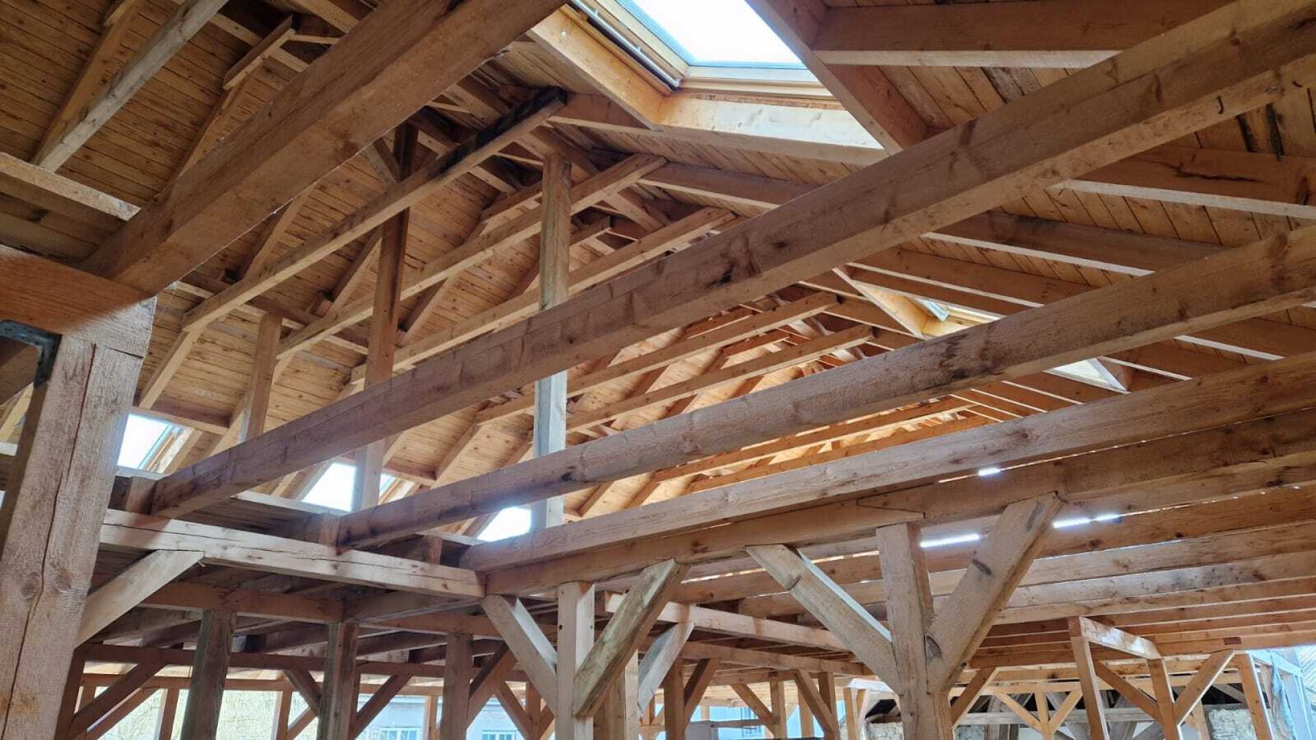 Bauernhof, Reitanlage  Wohnungen und Koppeln,  5,5 ha Gesamtfläche