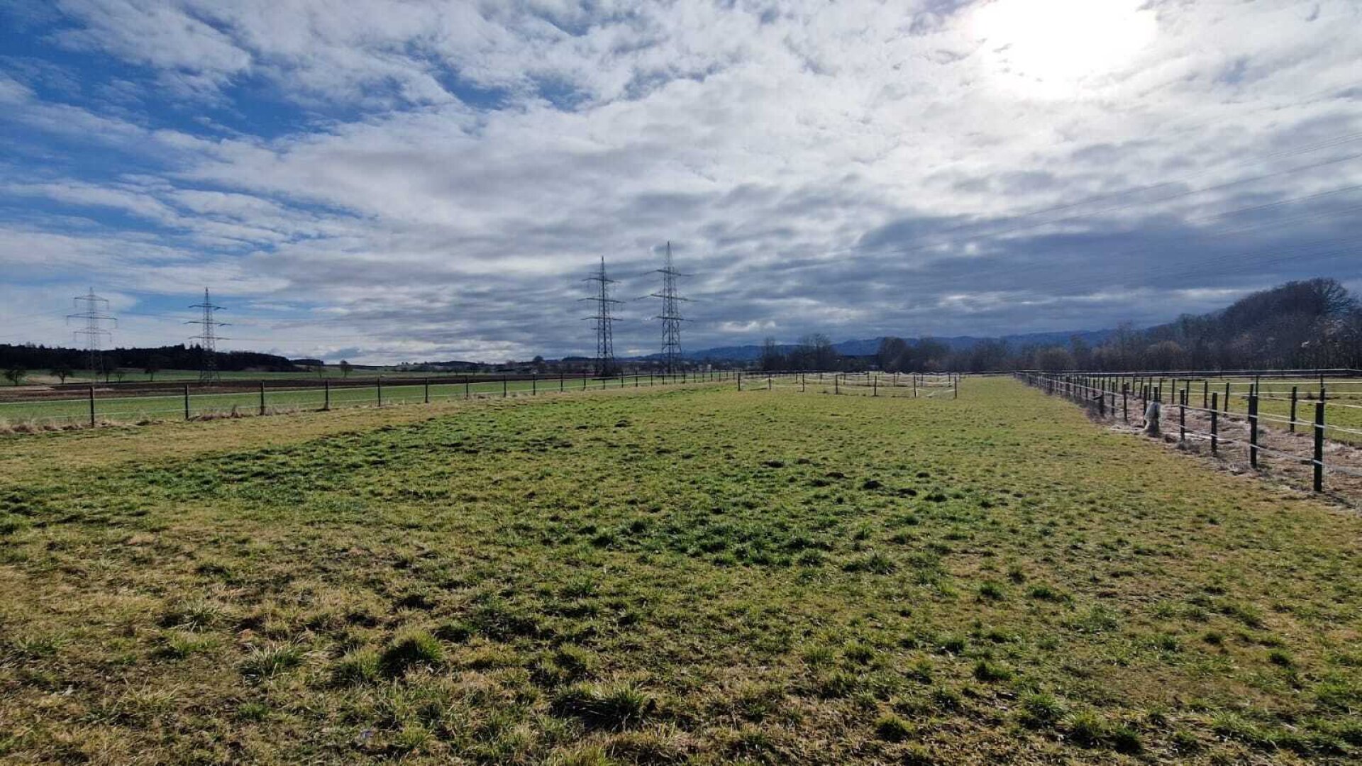 Bauernhof, Reitanlage  Wohnungen und Koppeln,  5,5 ha Gesamtfläche