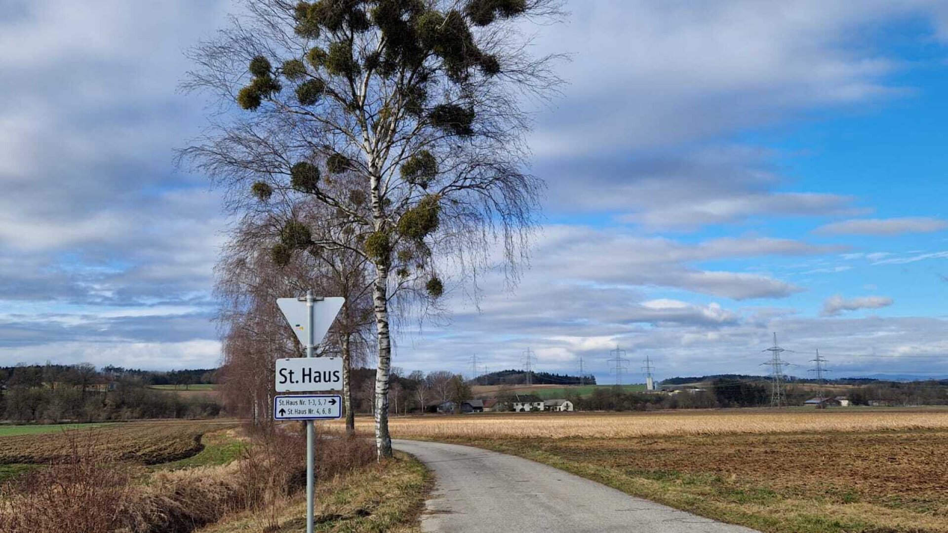 Bauernhof, Reitanlage  Wohnungen und Koppeln,  5,5 ha Gesamtfläche