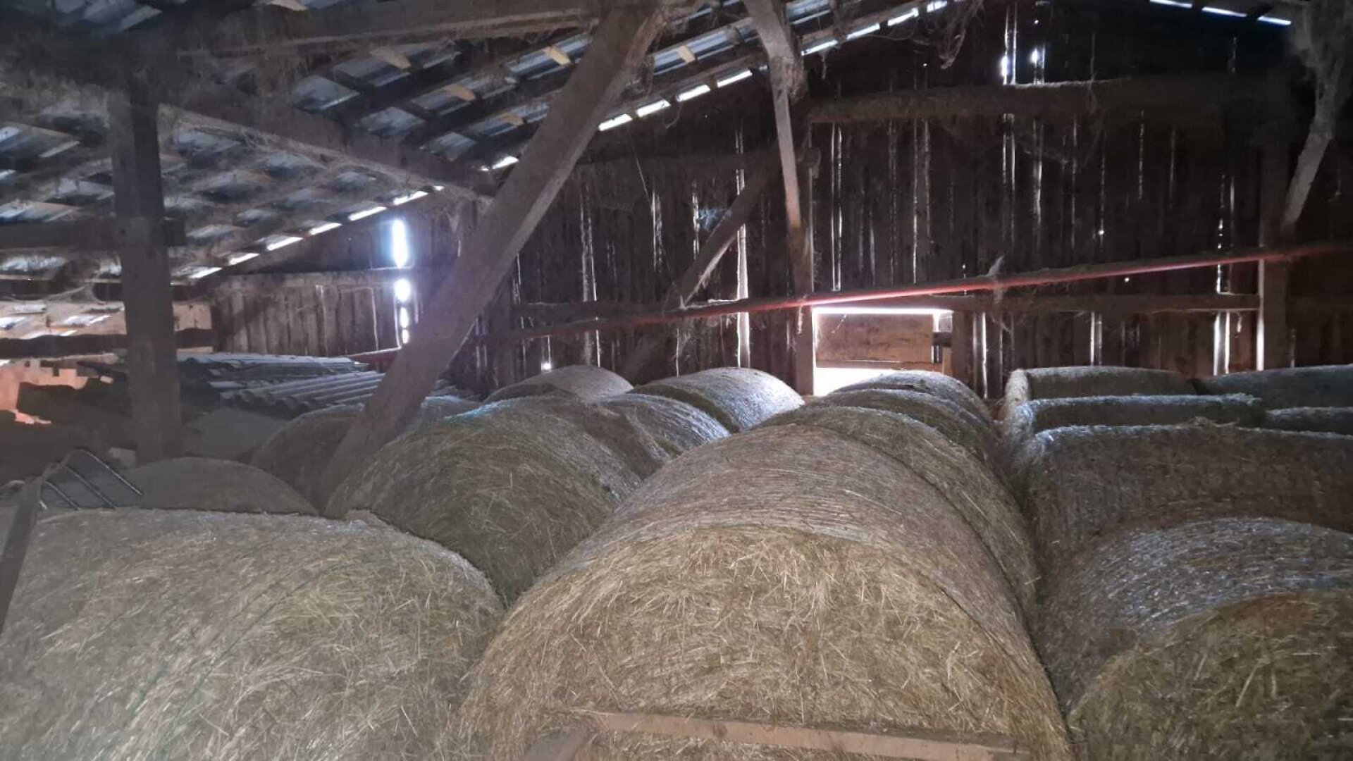 Landwirtschaftlicher Betrieb mit ca. 11,45 ha Fläche in St. Gotthard (ohne Wohnhaus)