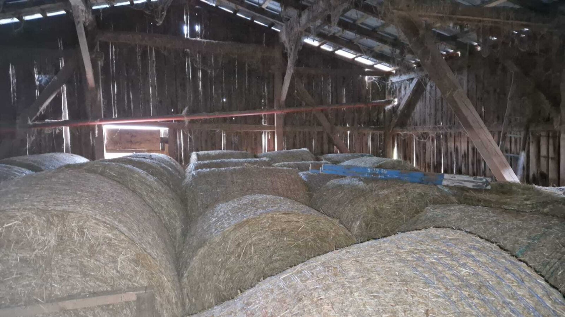 Landwirtschaftlicher Betrieb mit ca. 11,45 ha Fläche in St. Gotthard (ohne Wohnhaus)