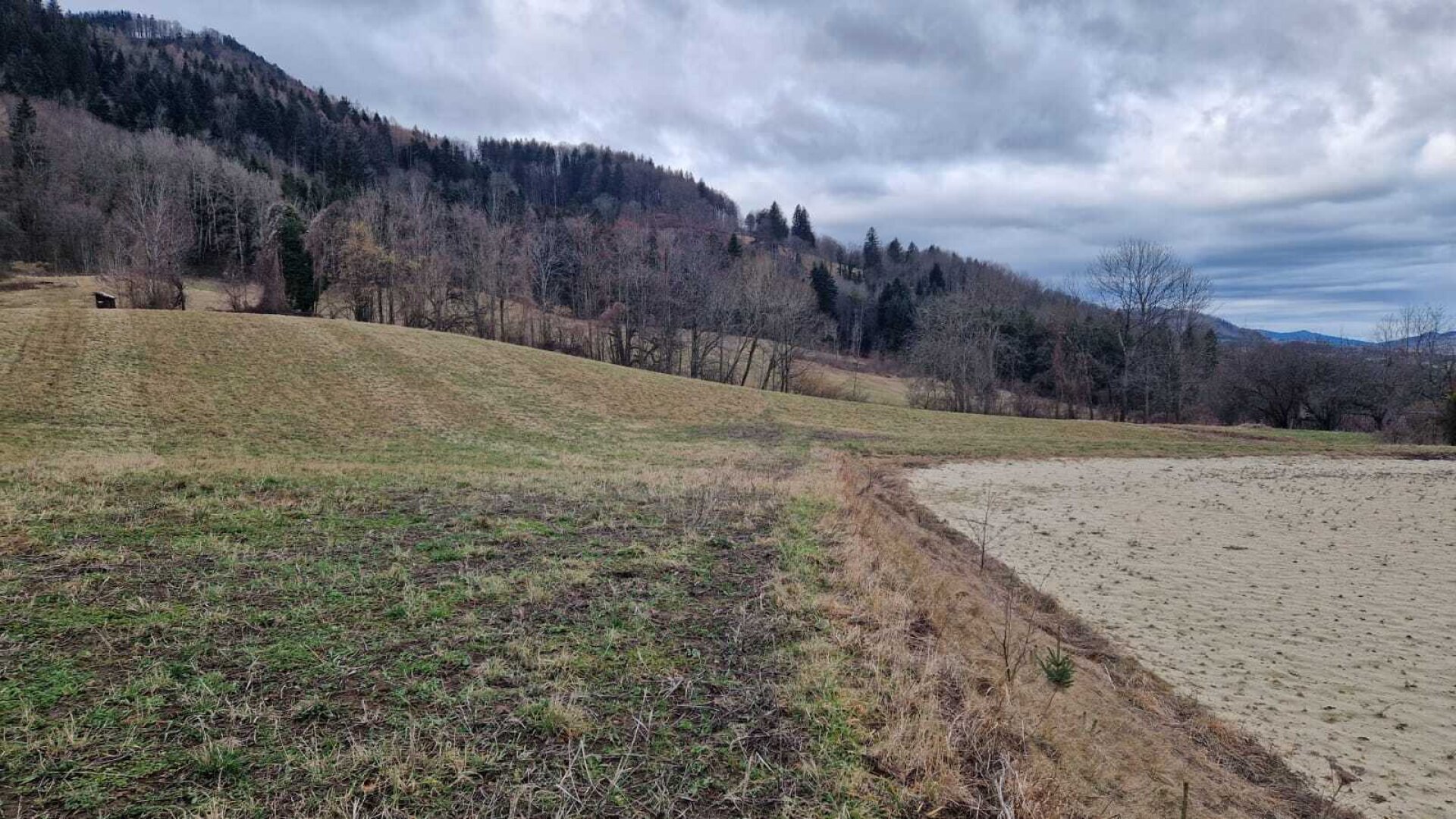 Landwirtschaftlicher Betrieb mit ca. 11,45 ha Fläche in St. Gotthard (ohne Wohnhaus)