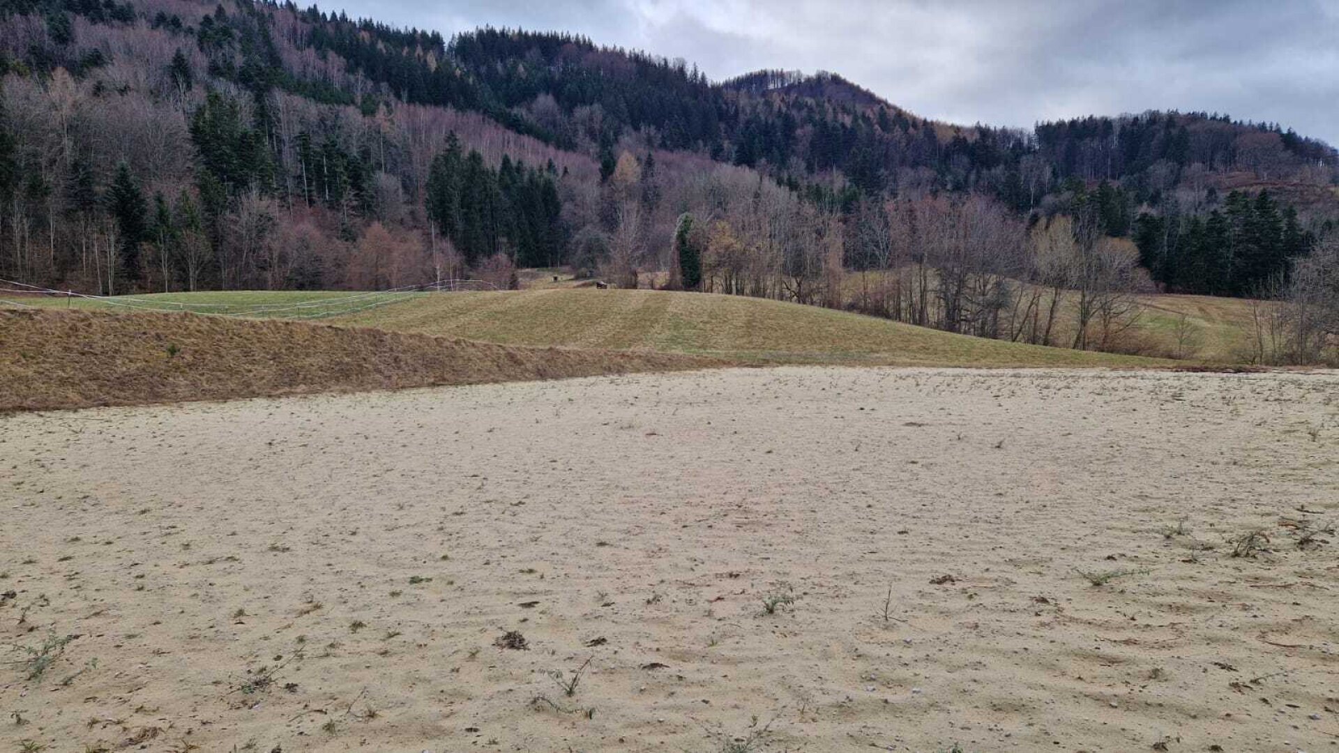 Landwirtschaftlicher Betrieb mit ca. 11,45 ha Fläche in St. Gotthard (ohne Wohnhaus)