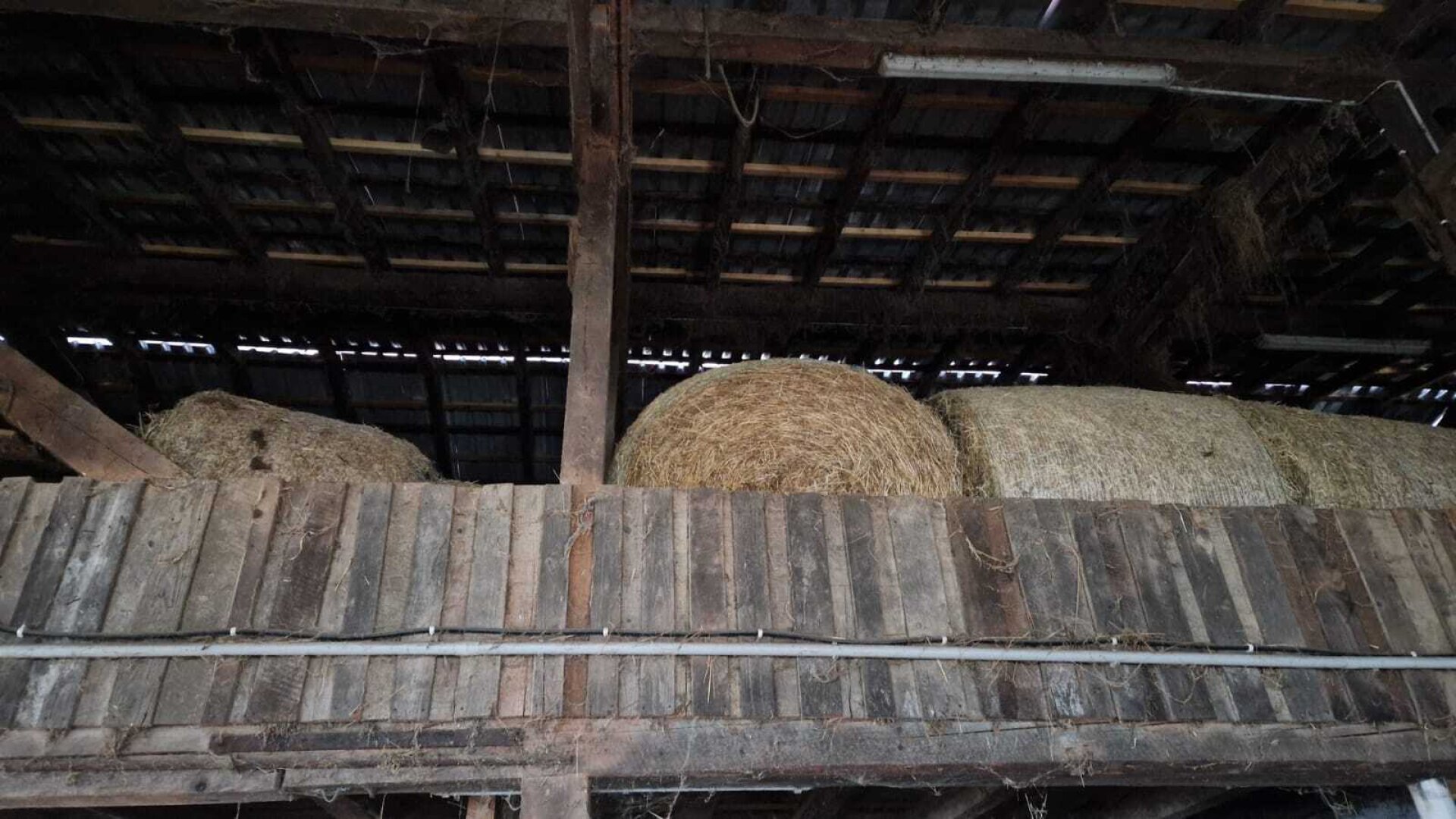 Landwirtschaftlicher Betrieb mit ca. 11,45 ha Fläche in St. Gotthard (ohne Wohnhaus)