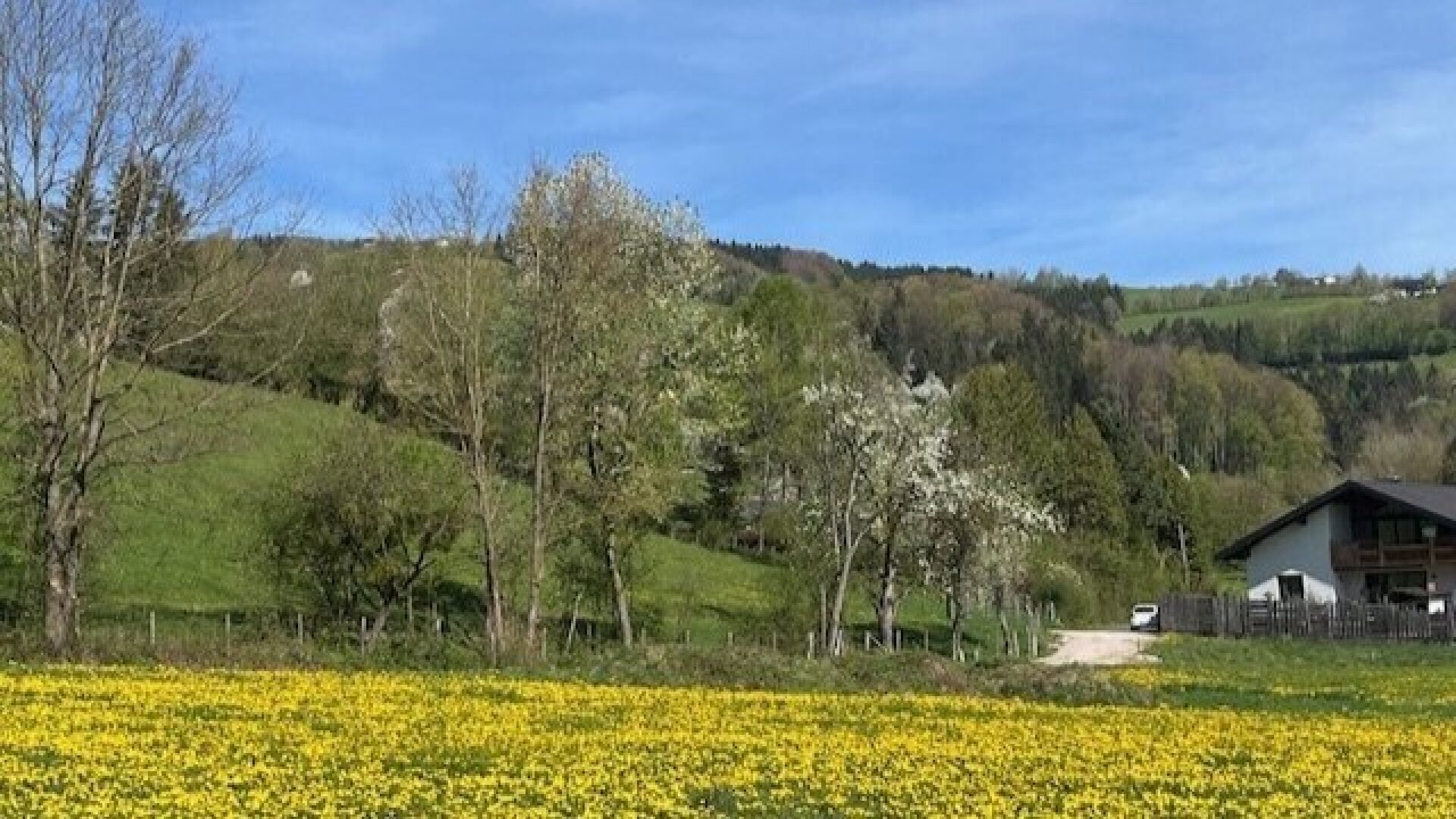 Apfelblüte im Mostviertel - Baugründe in wunderschöner, sonniger Lage!