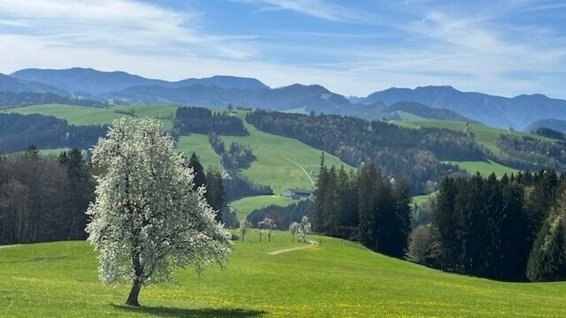 Sonniges Baugrundstück in wunderschöner Lage im Mostviertel!