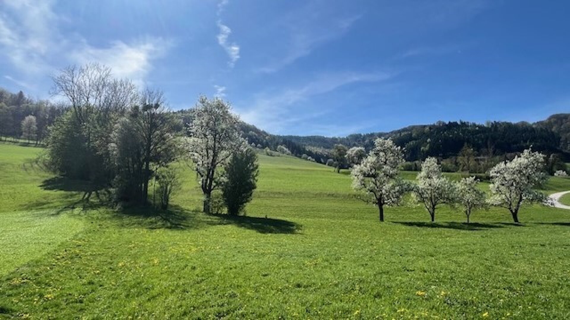 Bungalow in sonniger Lage - individuell planbar - Lehm für Ihre Wohngesundheit