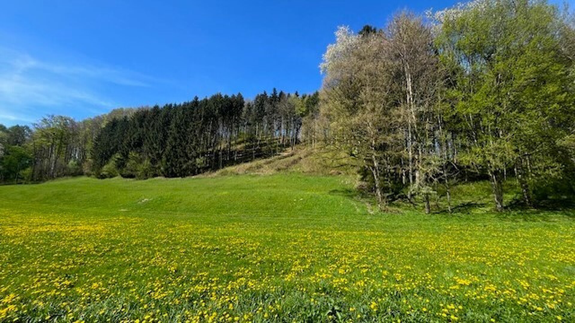 Baugründe in wunderschöner, sonniger Lage! Ein Höchstmaß an Lebensqualität!