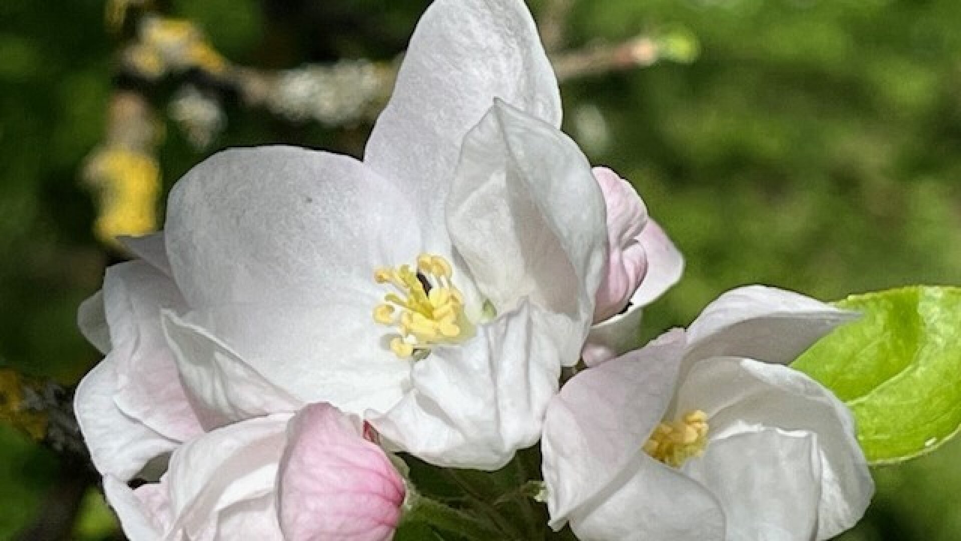 Baugründe in wunderschöner, sonniger Lage! Ein Höchstmaß an Lebensqualität!