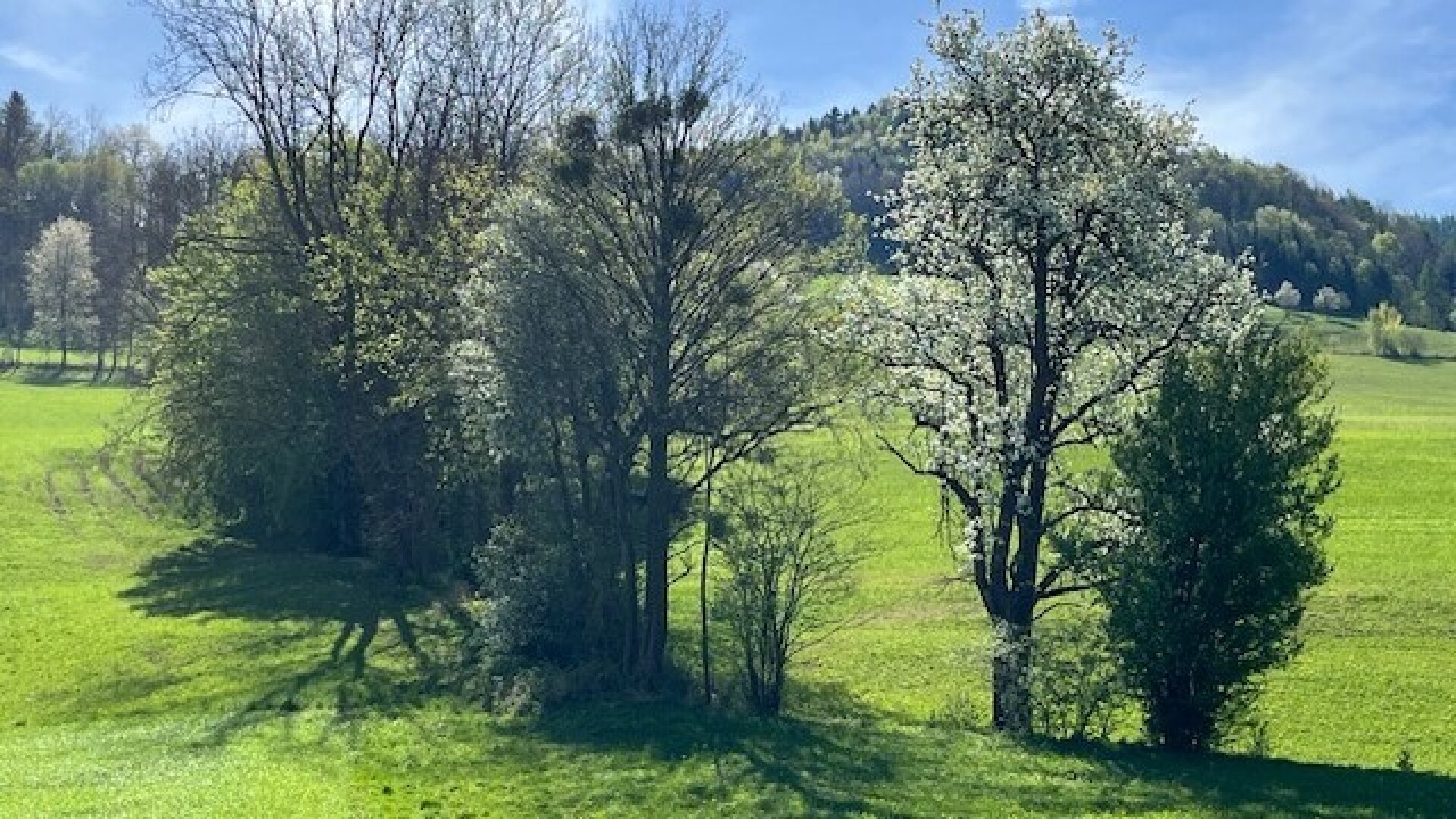 Baugründe in wunderschöner, sonniger Lage! Ein Höchstmaß an Lebensqualität!