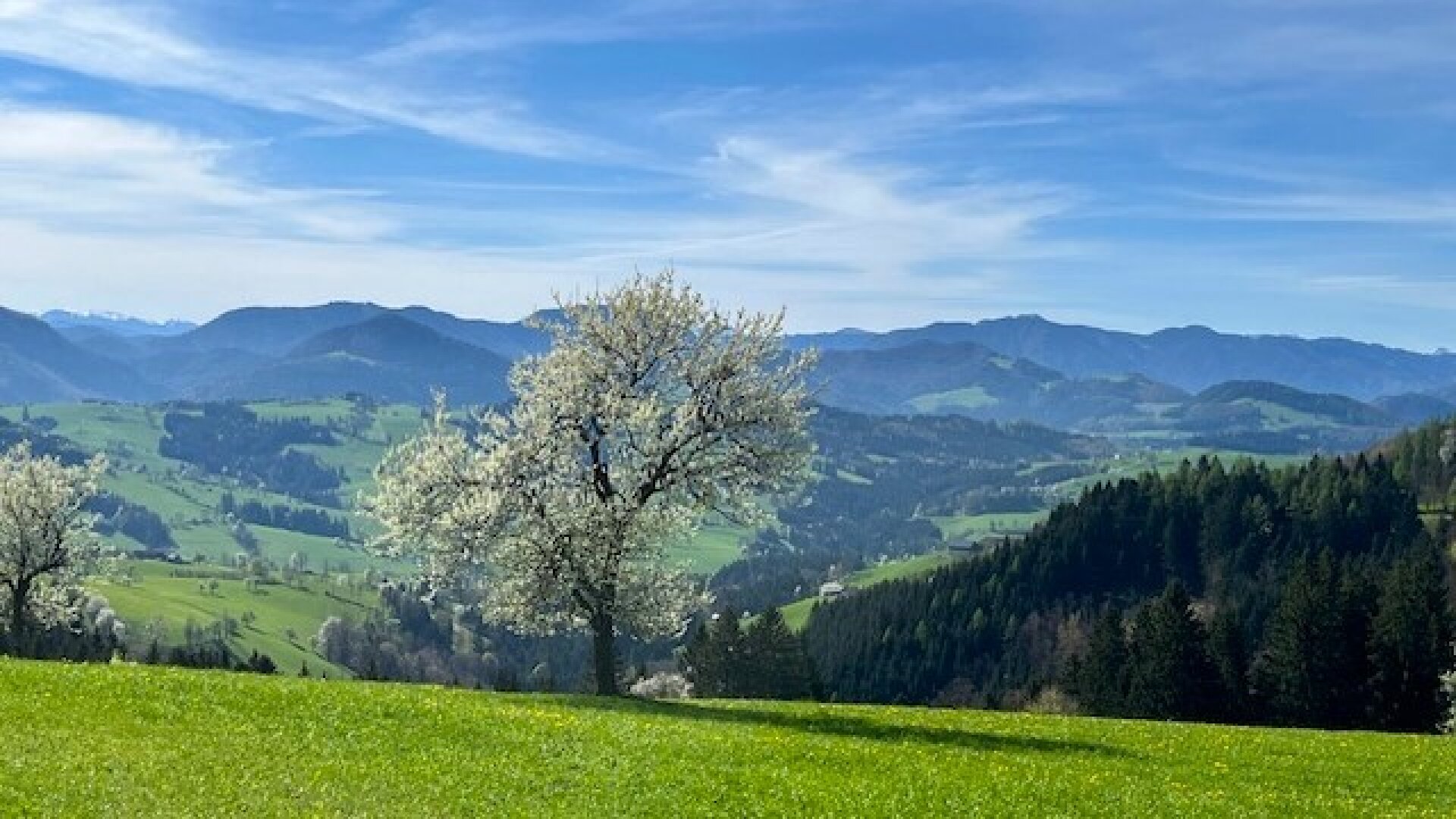 Baugründe in wunderschöner, sonniger Lage! Ein Höchstmaß an Lebensqualität!