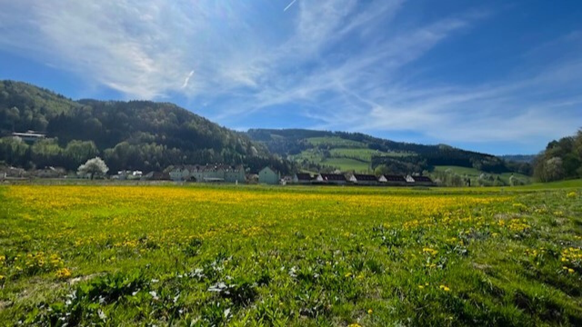 Für ein natürliches Wohlfühlerlebnis – individuell planbares Stockhaus in sonniger Lage!