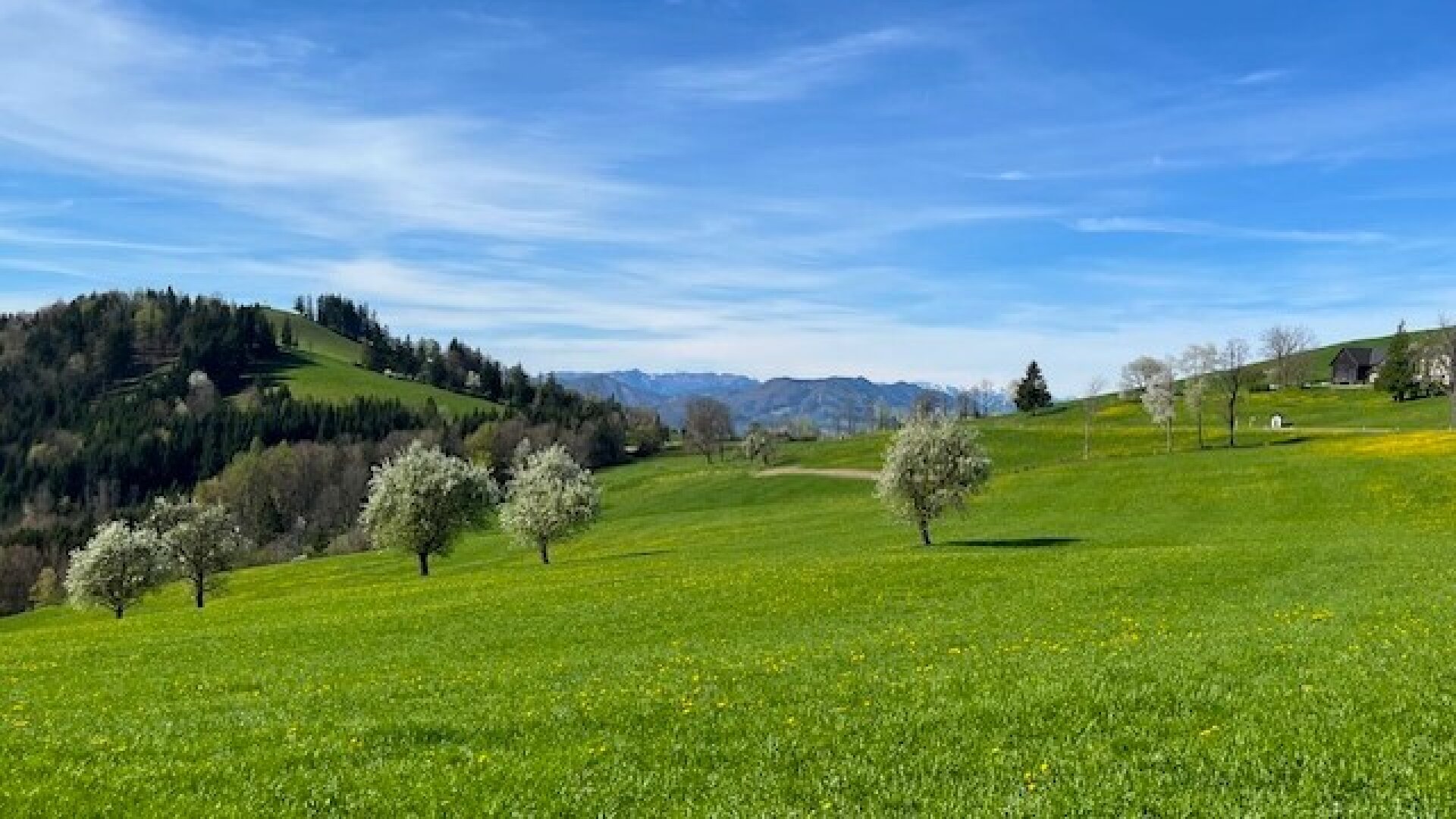 Für ein natürliches Wohlfühlerlebnis – individuell planbares Stockhaus in sonniger Lage!