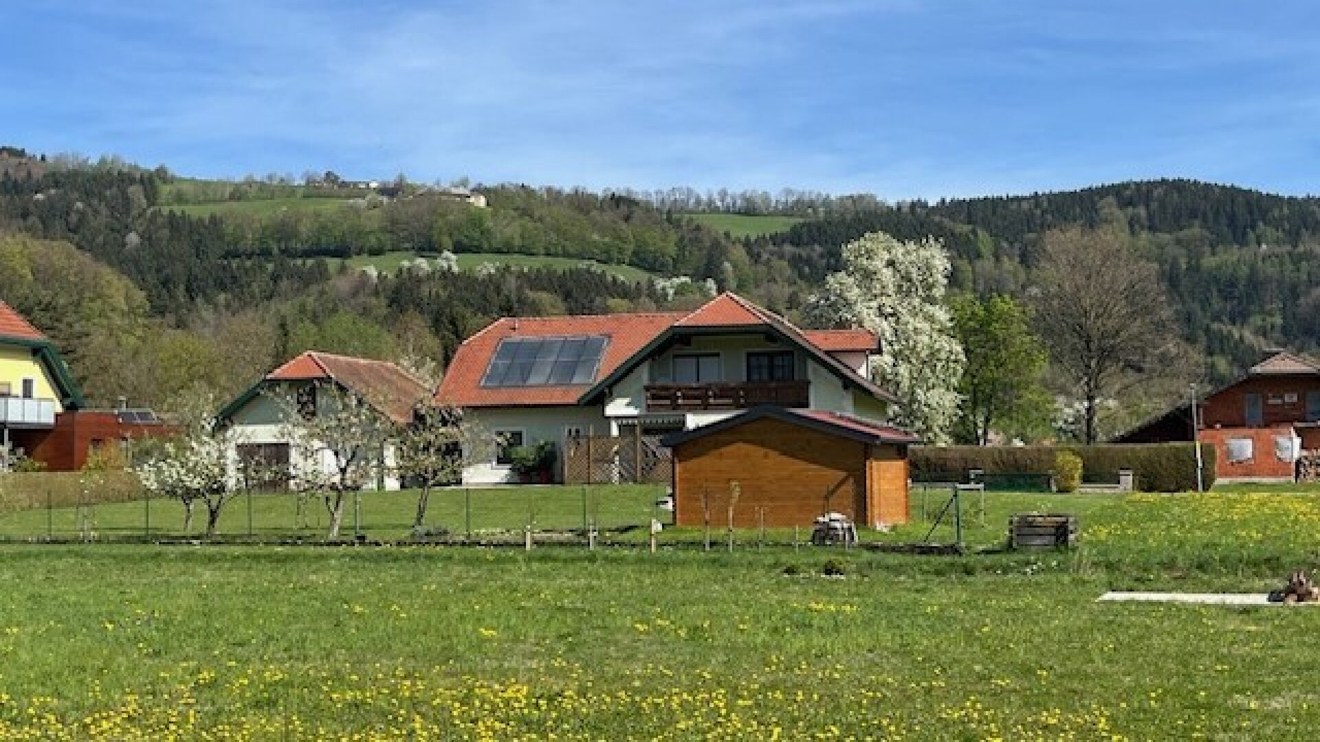 Apfelbaumblüte vor Ihrem Haus im schönen Mostviertel - Baugründe in wunderschöner, sonniger Lage!