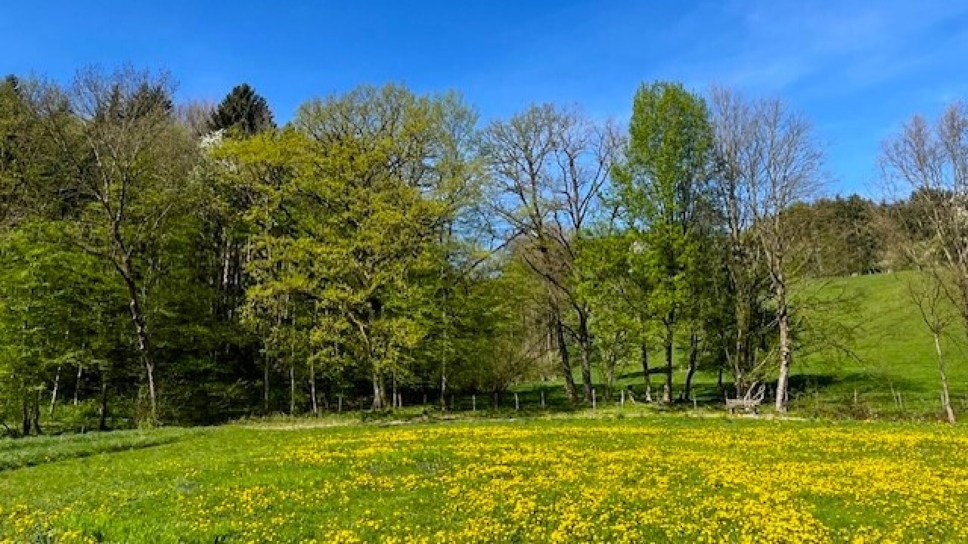 Für ein natürliches Wohlfühlerlebnis – individuell planbare Doppelhaushälfte in sonniger Lage!