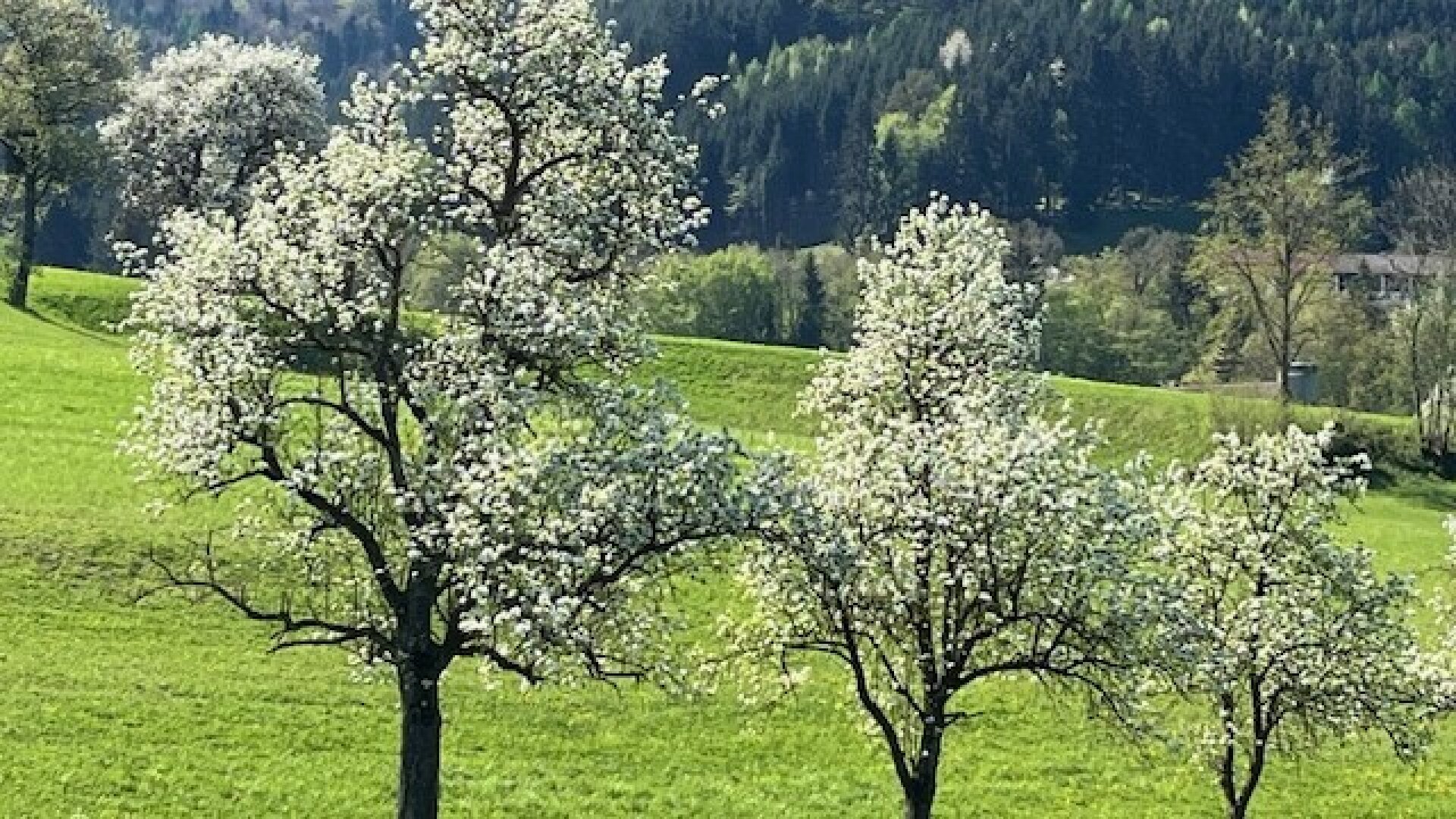 Für ein natürliches Wohlfühlerlebnis – individuell planbare Doppelhaushälfte in sonniger Lage!