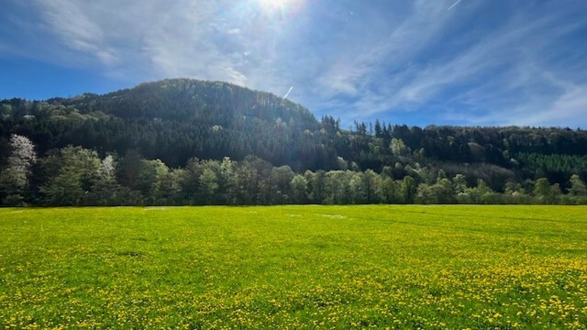 Für ein natürliches Wohlfühlerlebnis – individuell planbare Doppelhaushälfte in sonniger Lage!
