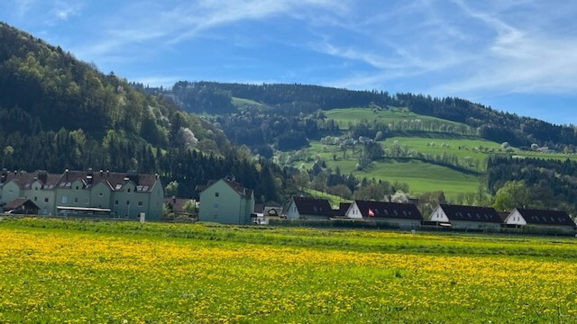 Im Mostviertel blühen wieder die Bäume ... - Baugründe in wunderschöner, sonniger Lage!